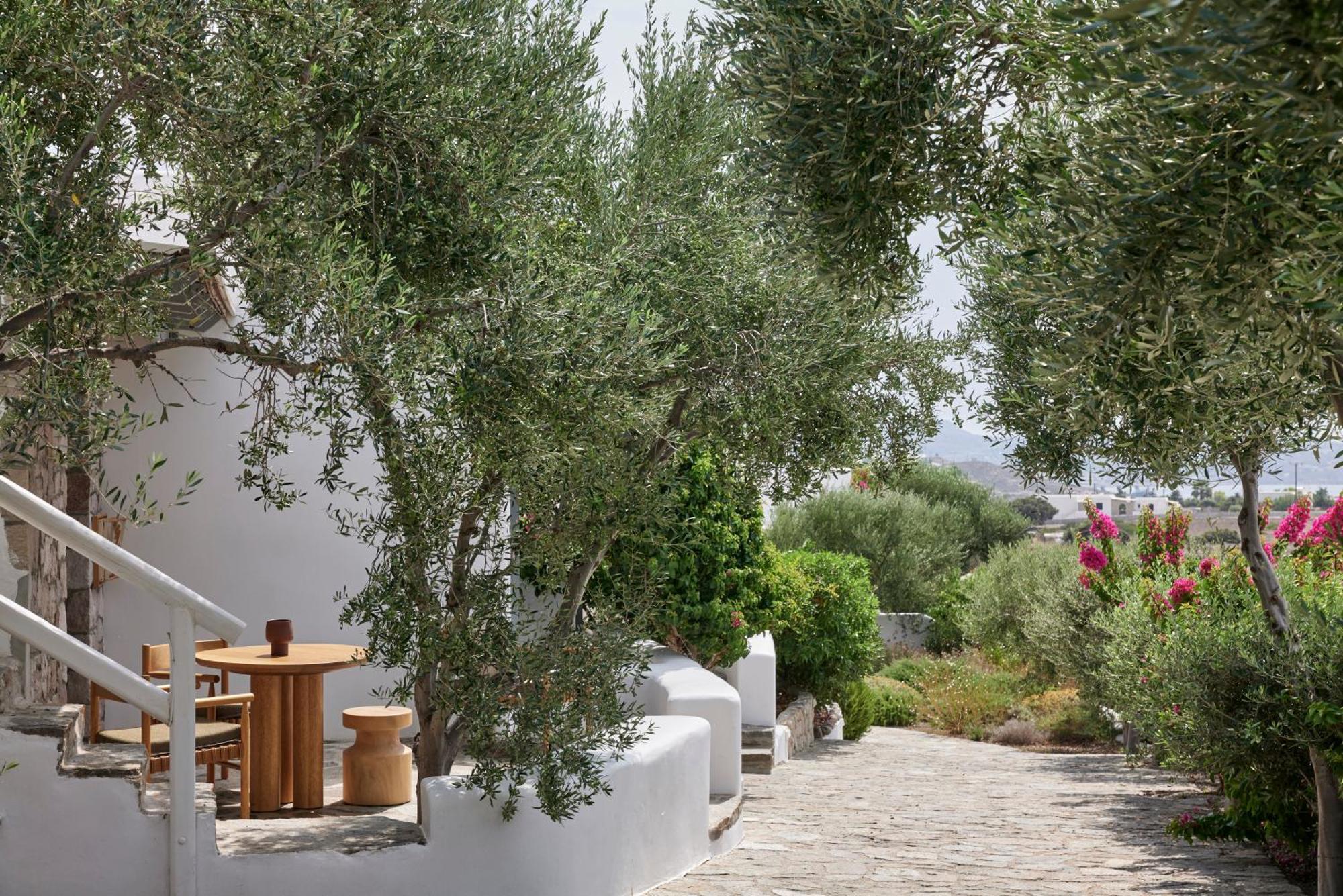 Iliana Olive Branch Apartment Adamantas (Milos)