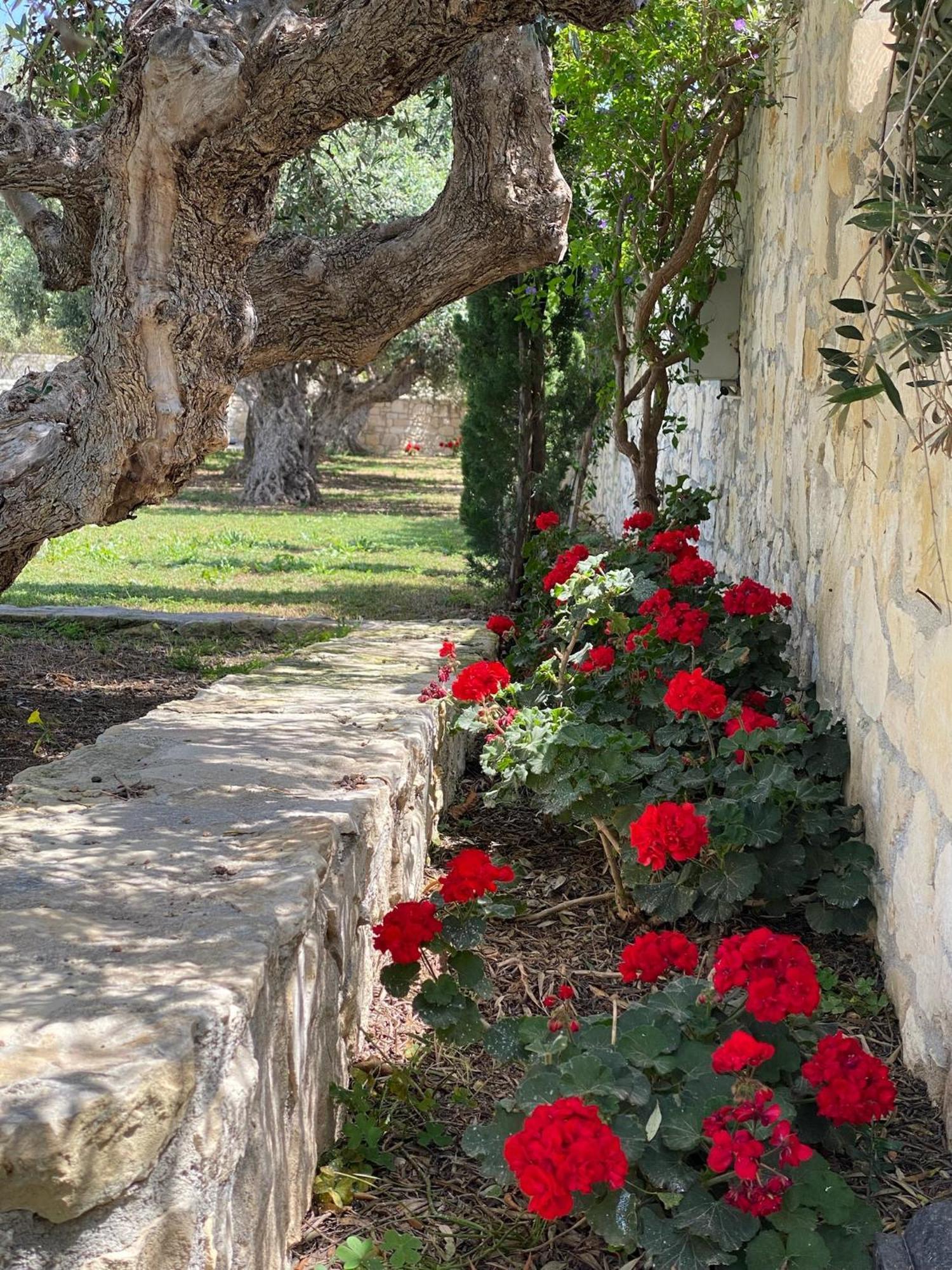 Marmelada Villa