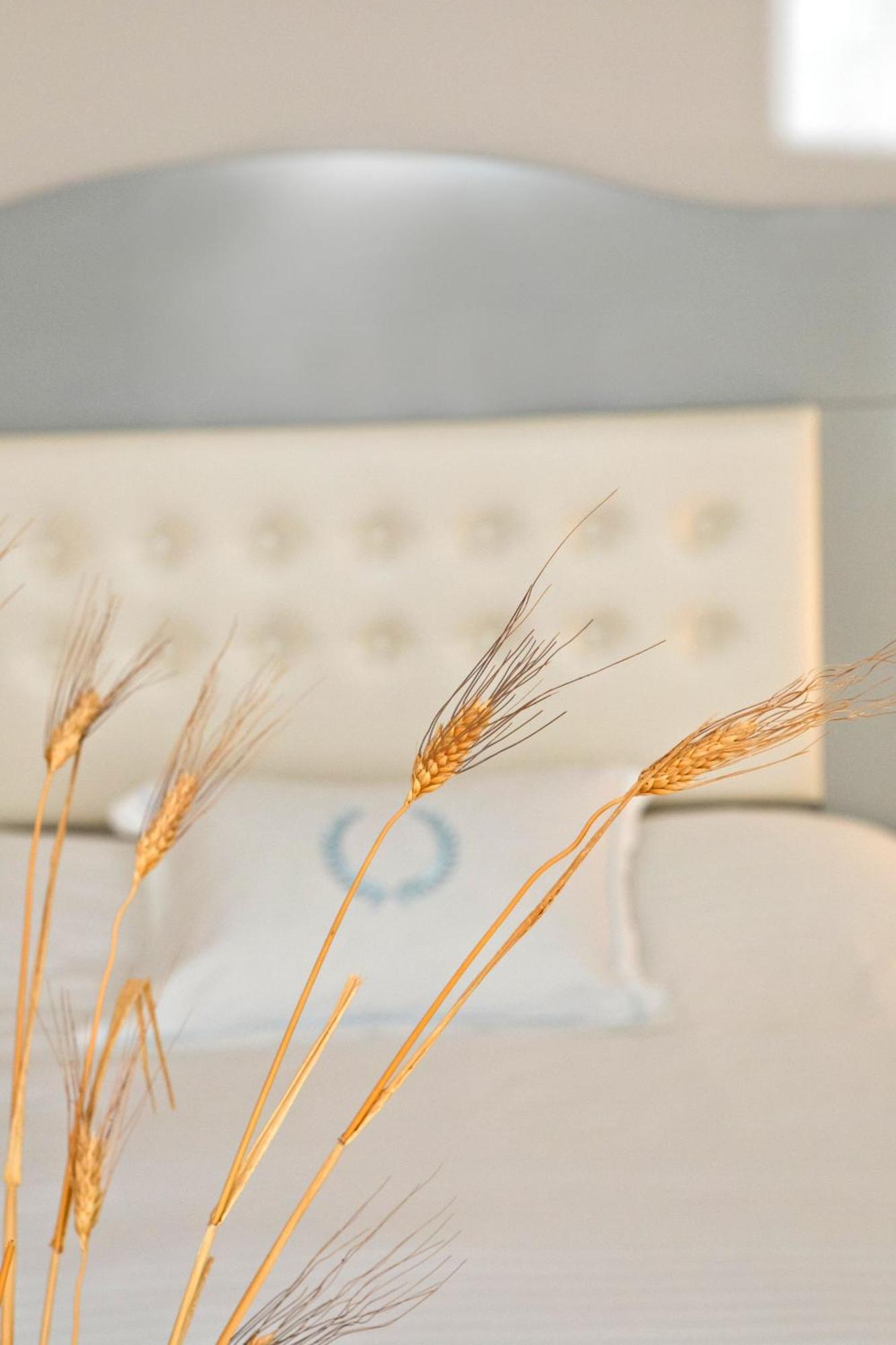 Hotel Masouriblu Boutique Masouri