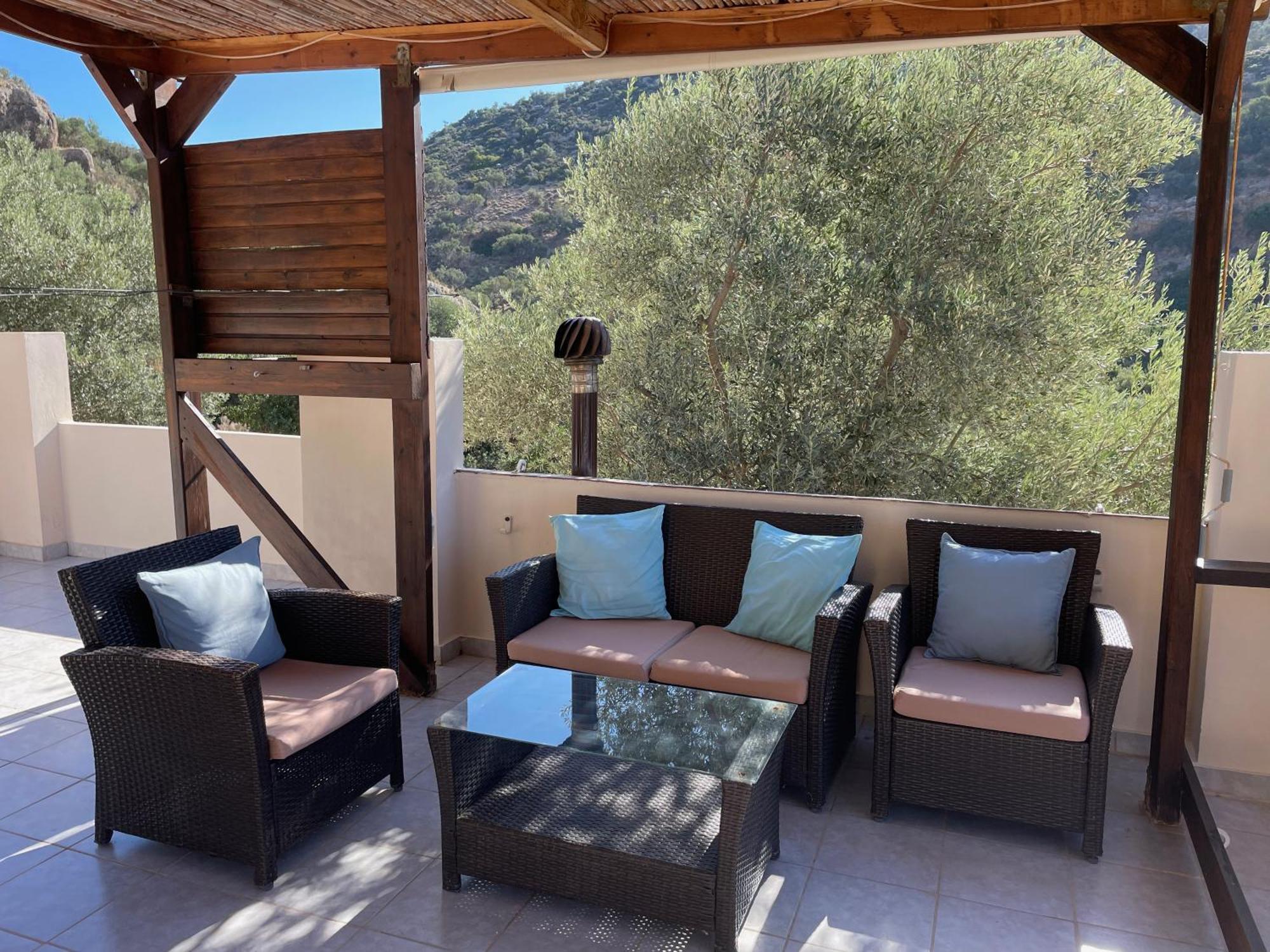 An Oliven * Agia Galini (Crete)