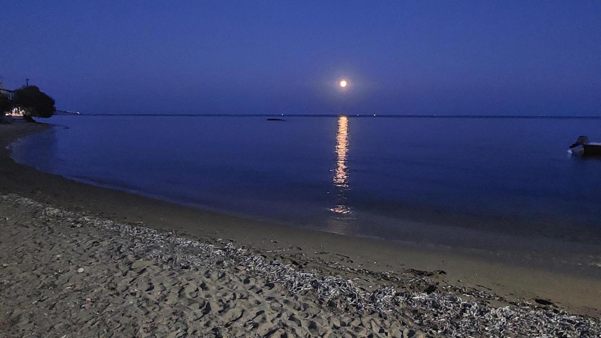 Fotis At Komi Holiday home