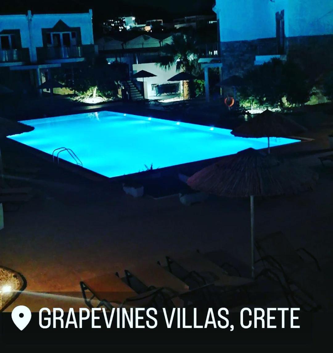 Holiday home Makry Gialos Grapevines 11 - Makry Gialos Milatos