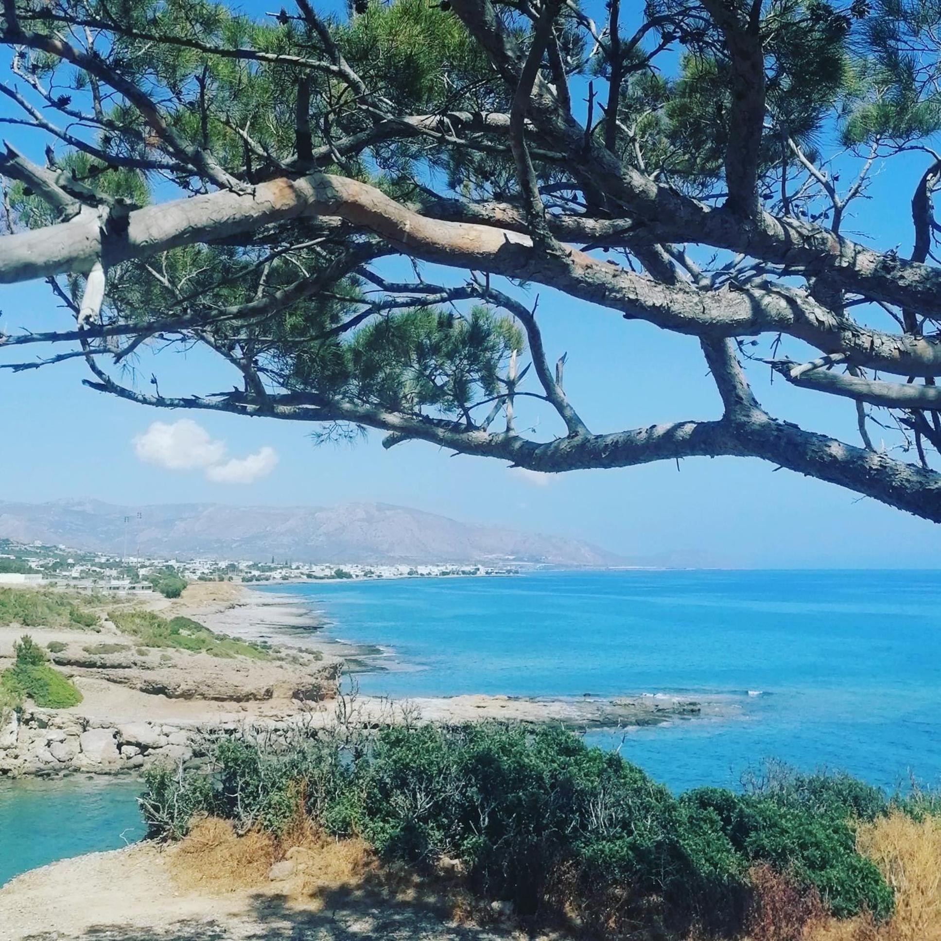 Holiday home Makry Gialos Grapevines 11 - Makry Gialos