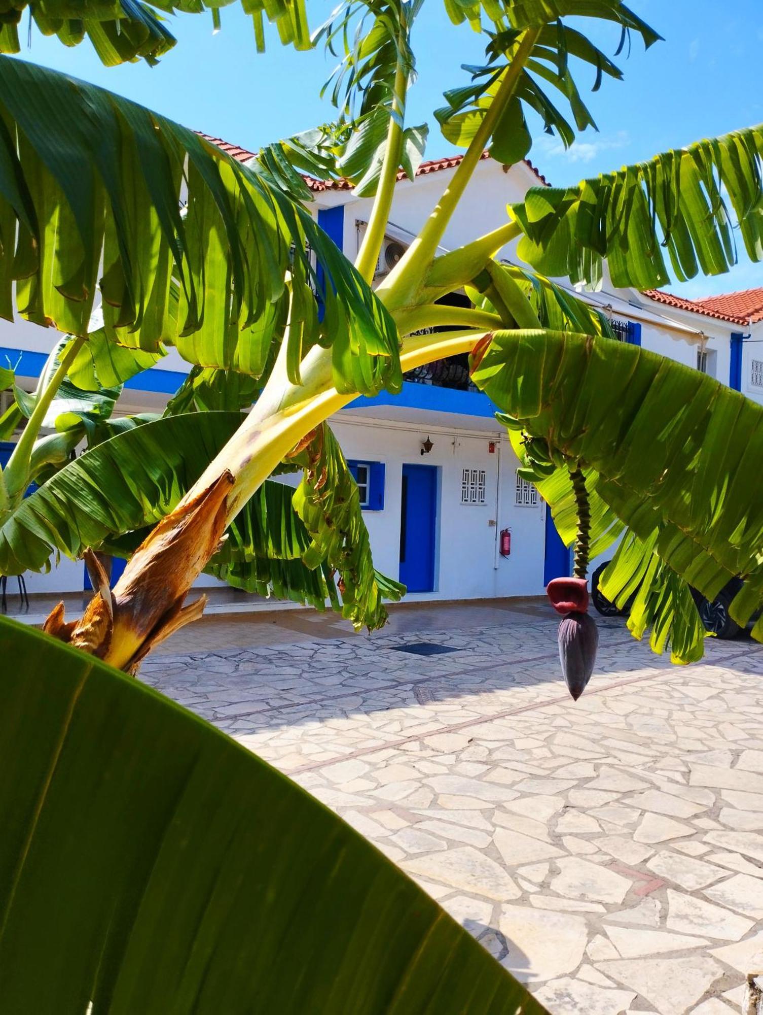 Spasmata Village No Cooking Apartment Minia