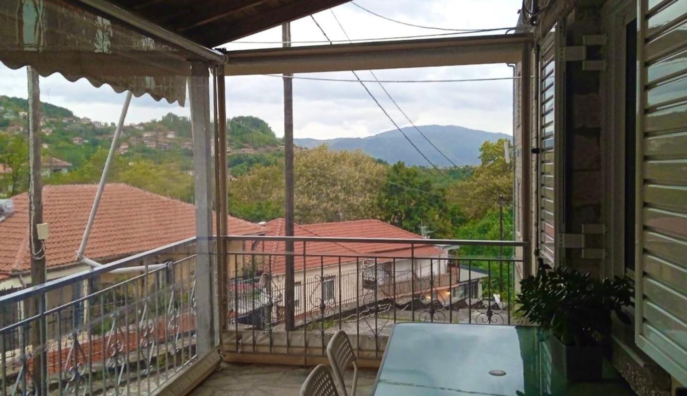 Sofia's House