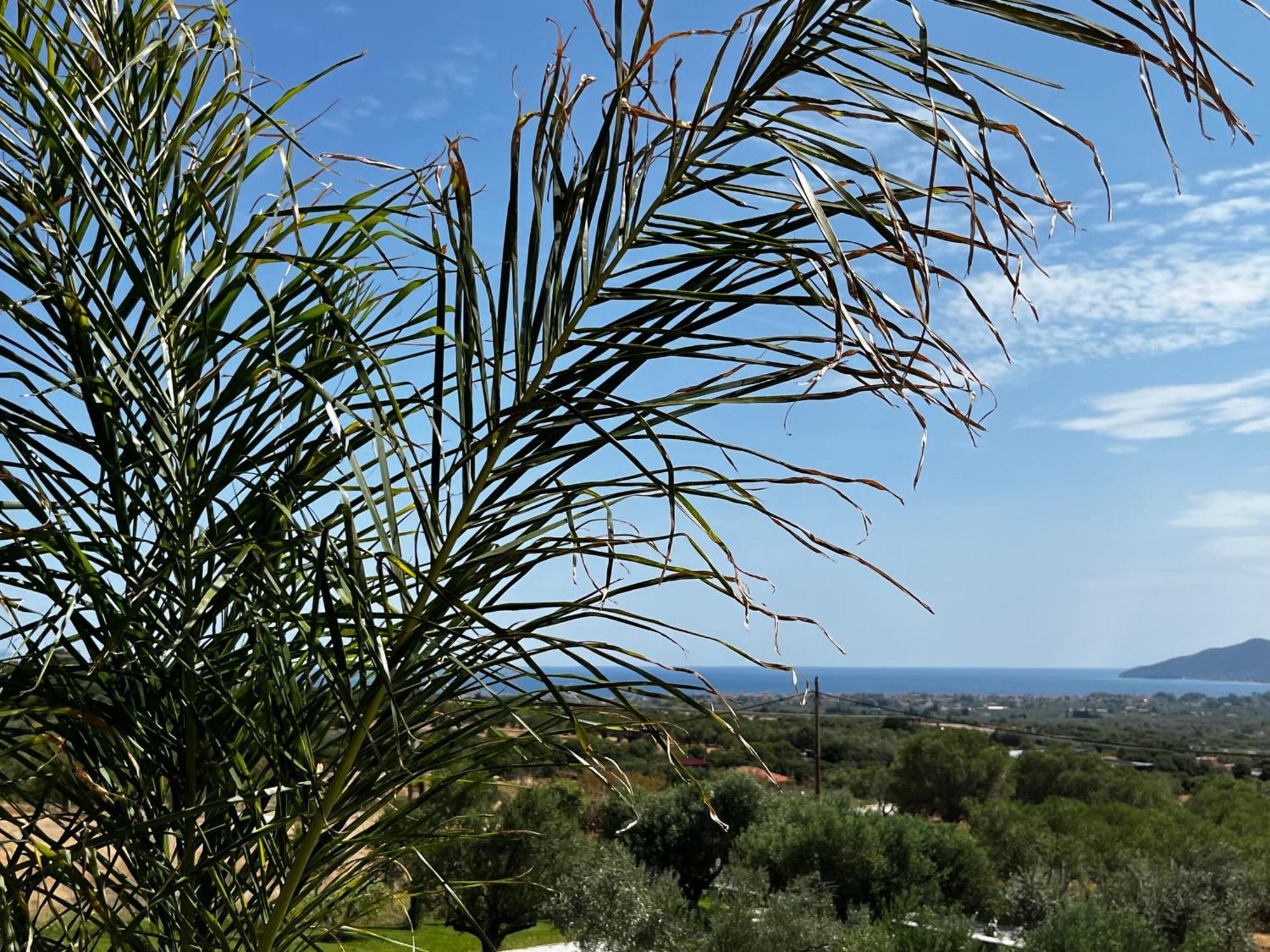 Ioniso Boutique Hotel Vrasna