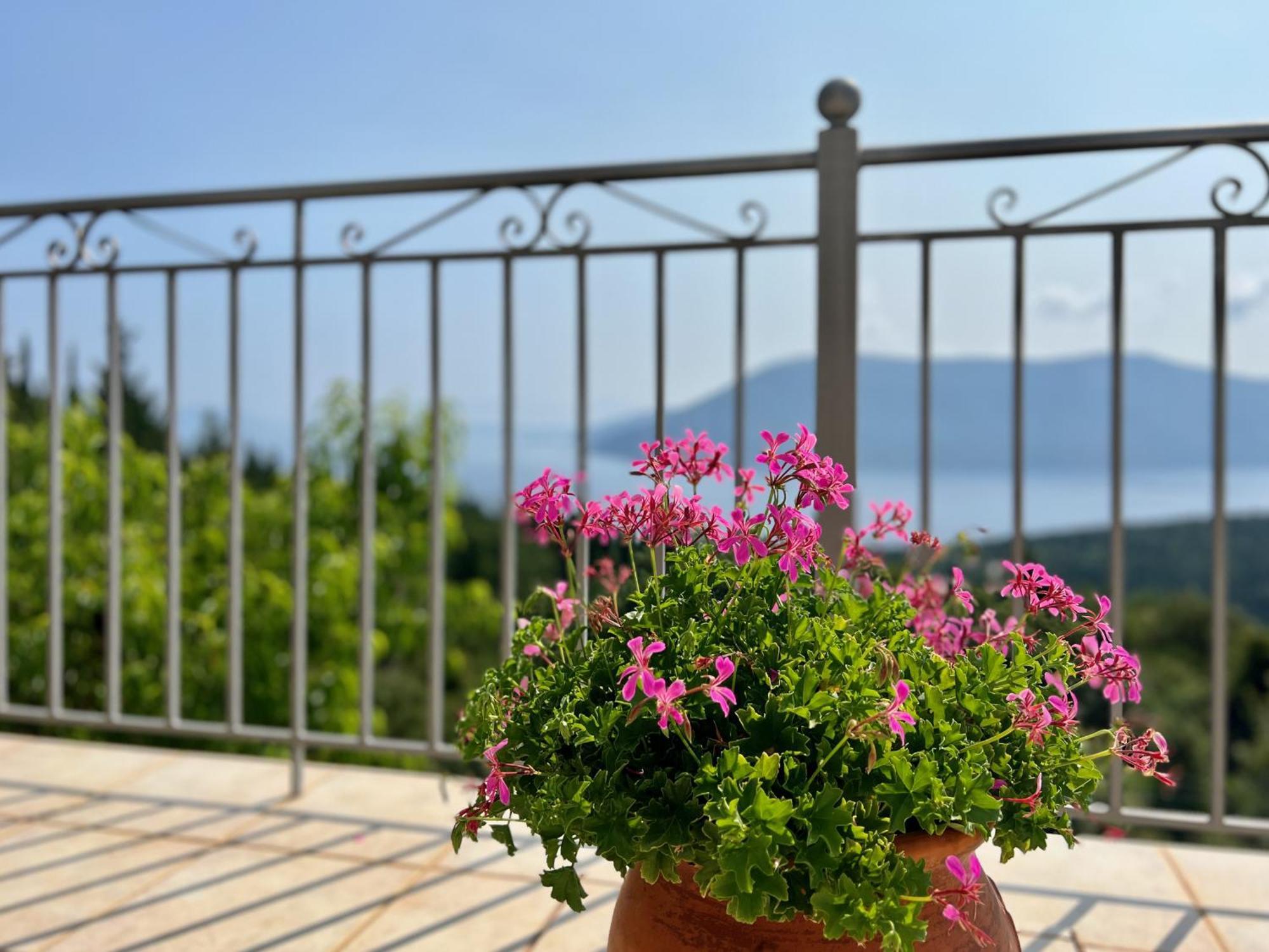 Villa Vassilis