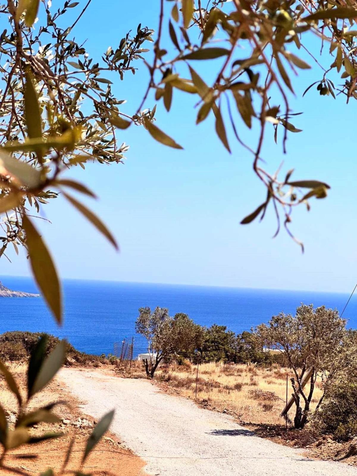 Villa Amοopi *