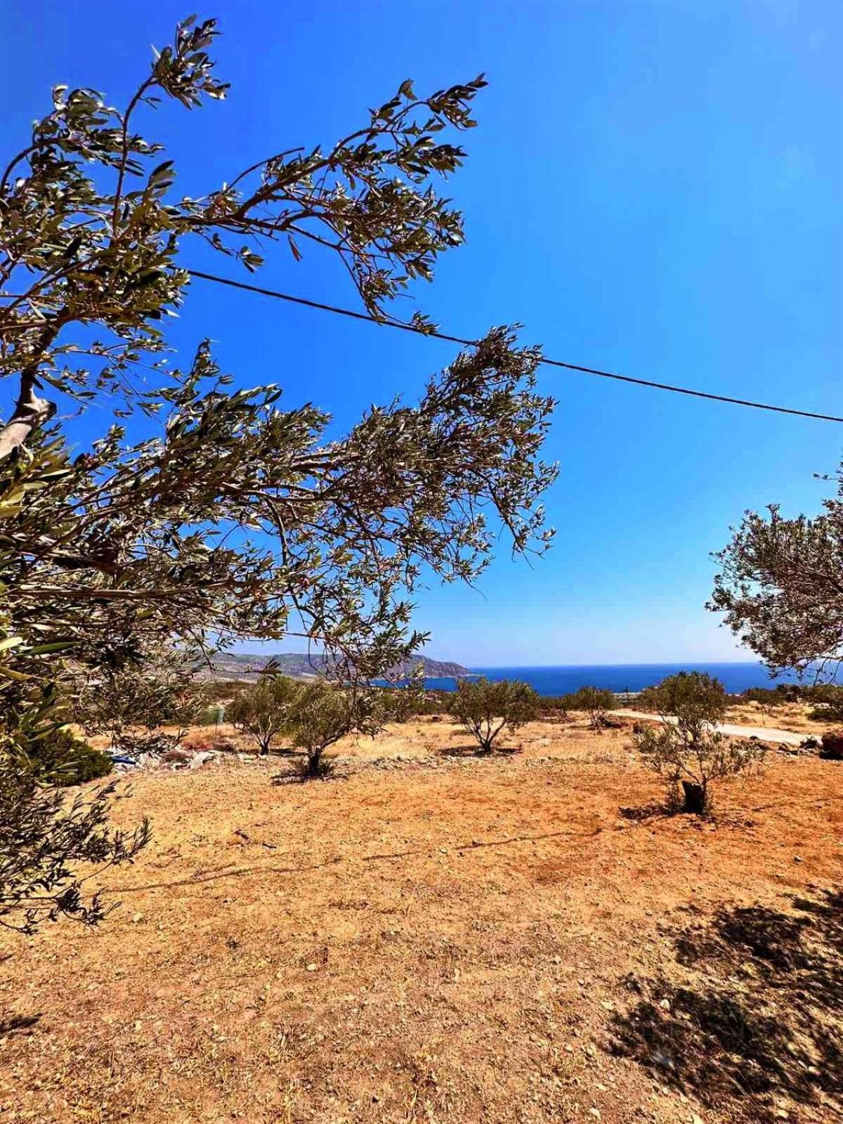 Villa Amοopi *