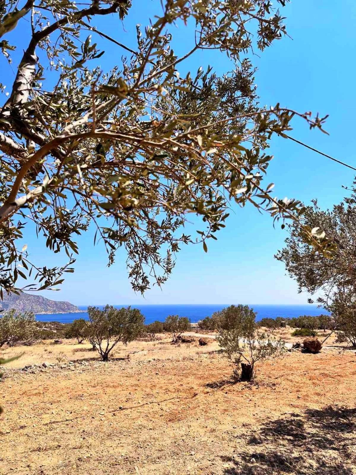Amοopi Villa Amoopi