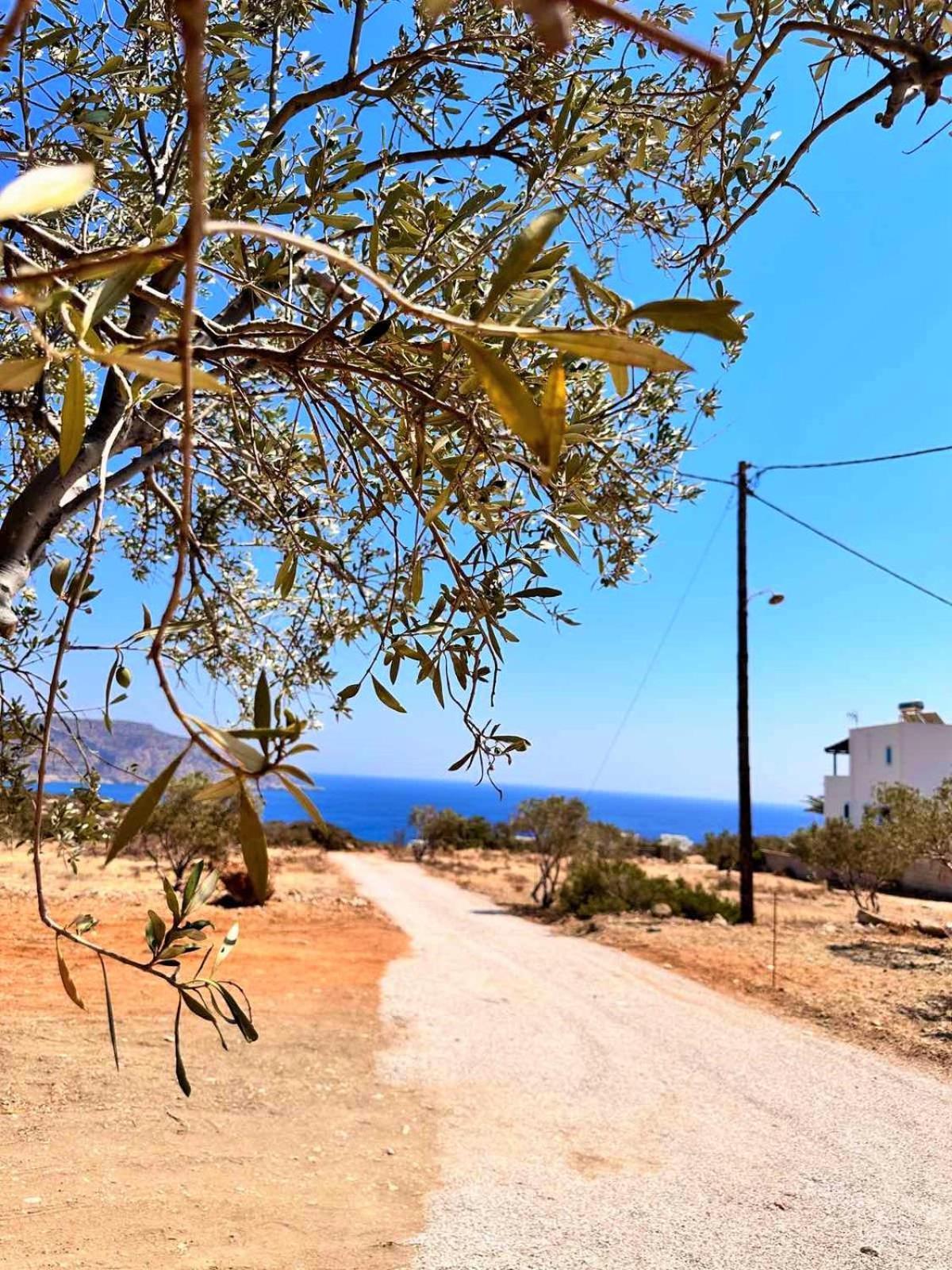 Amοopi *
