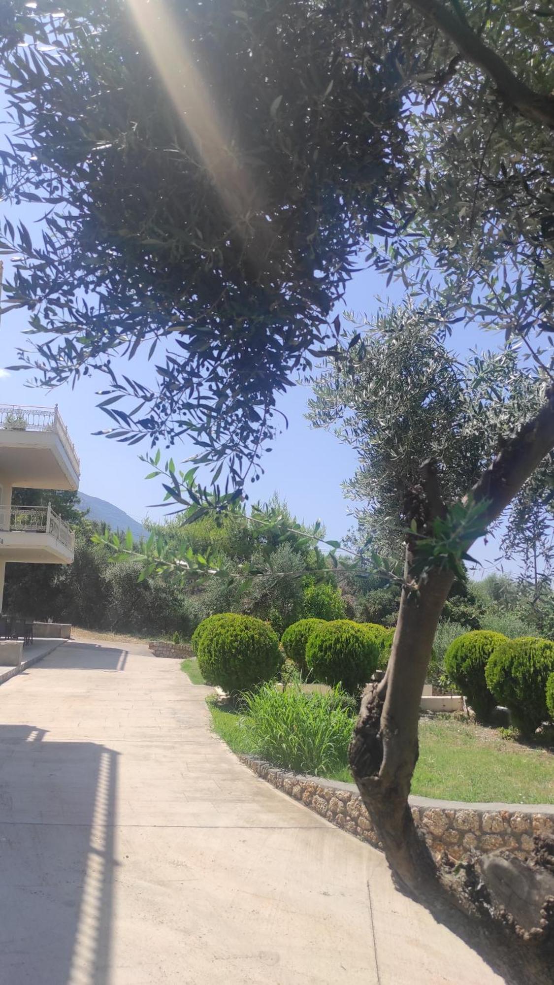 Agriomata Vergas Apartment Kalamata