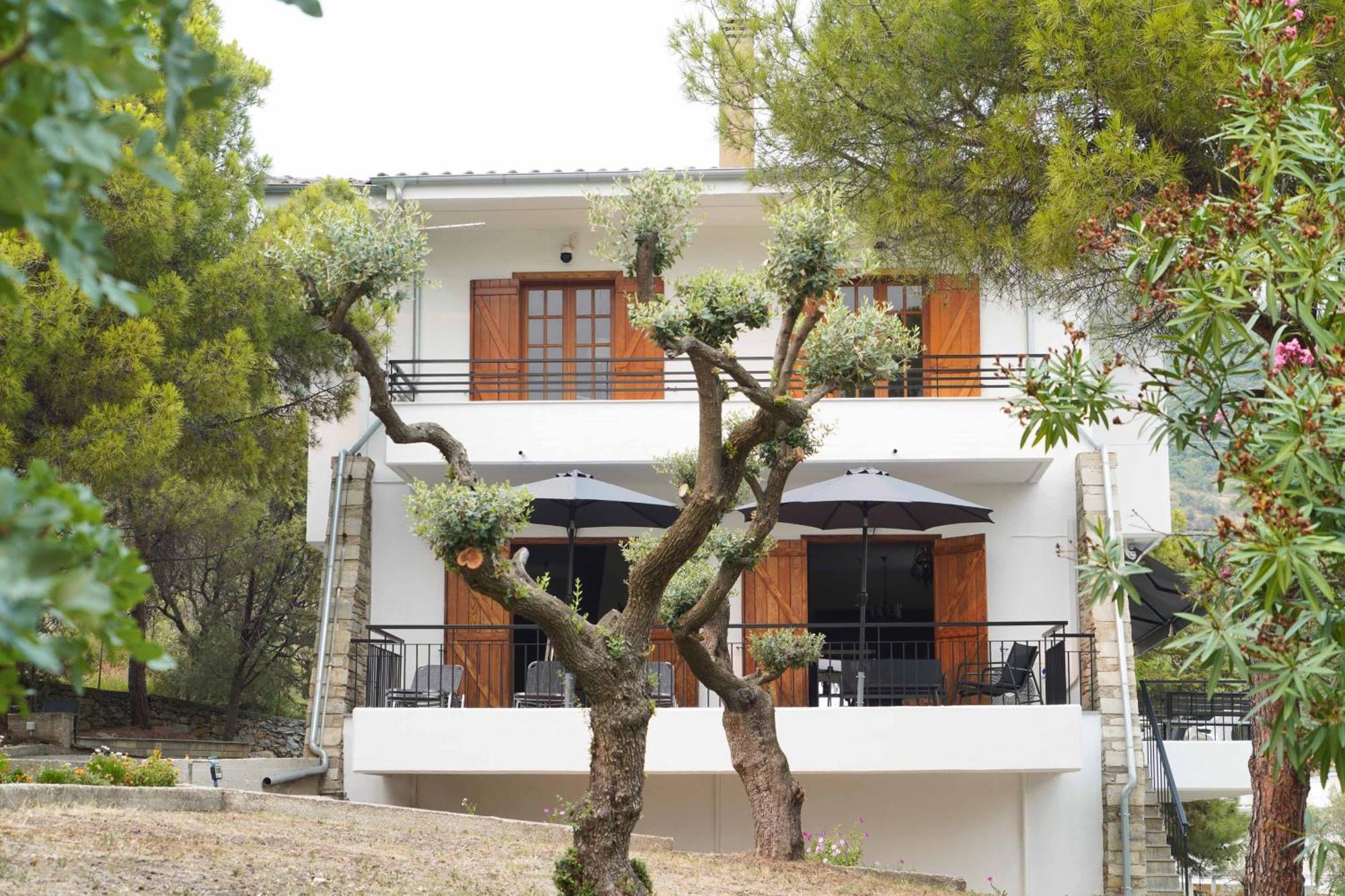 Villa Petrino Palaiontsiflikion