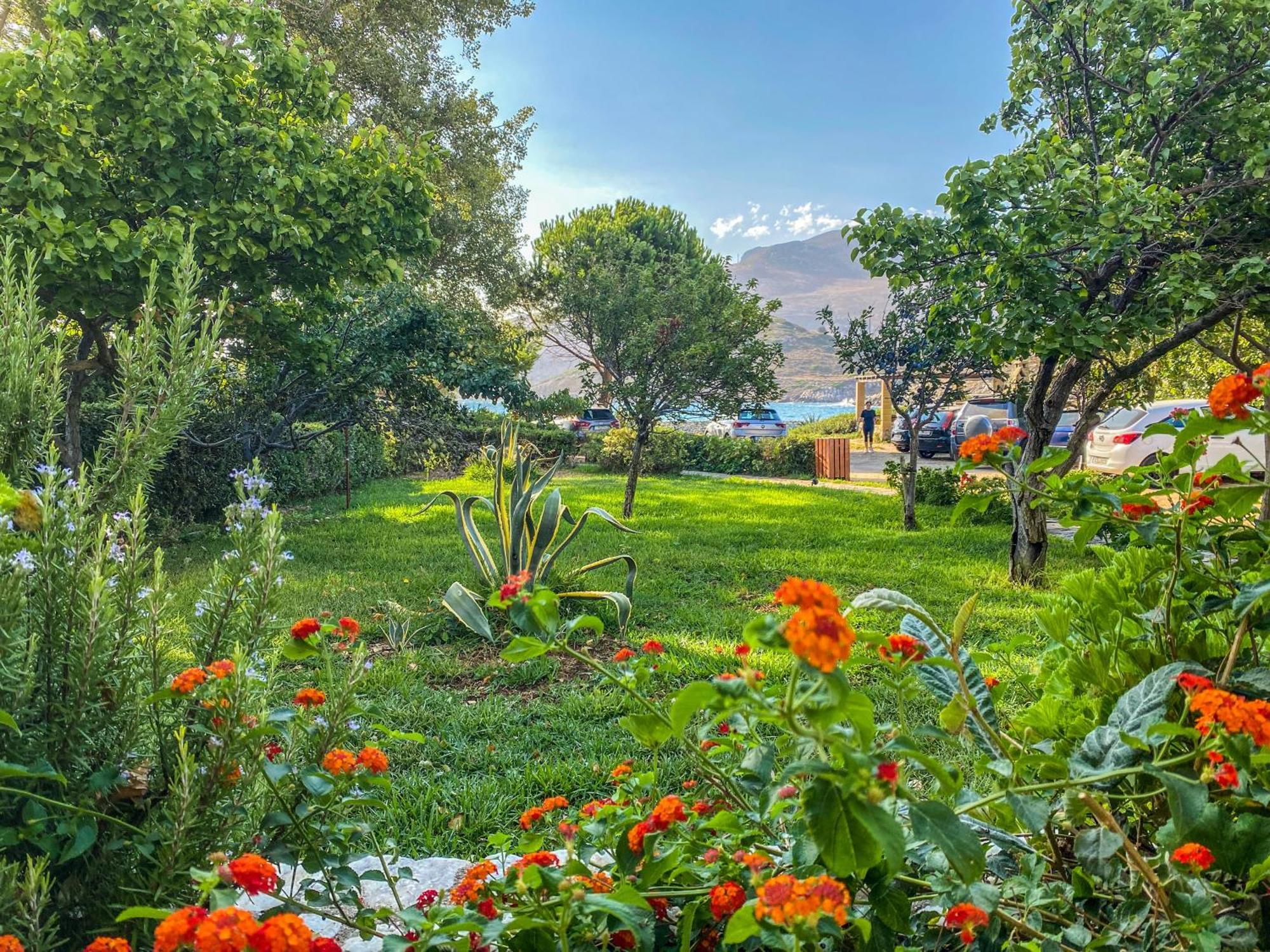 Apartment Mealos Skyros