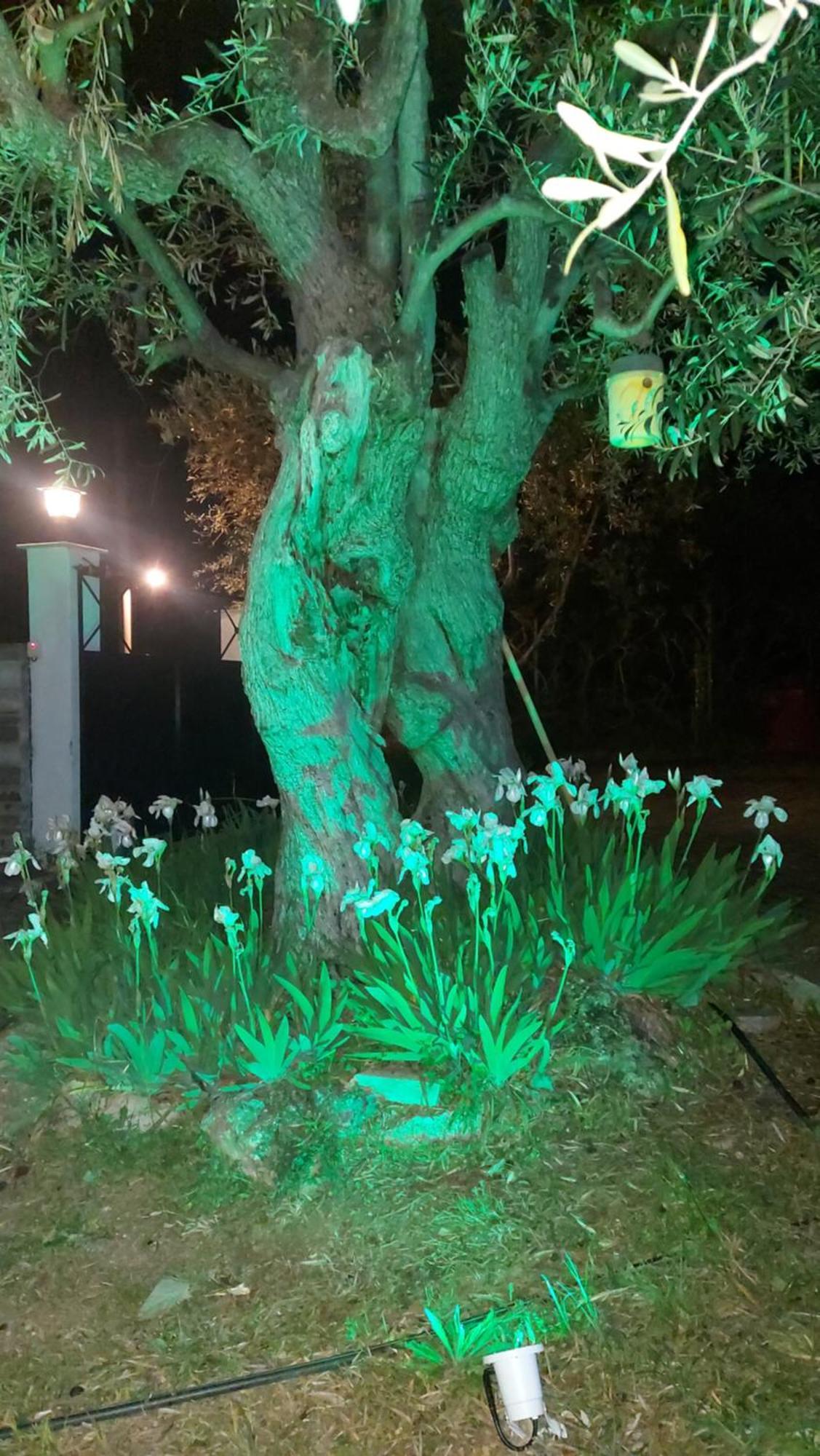 βίλλα φανούλα Fanoula Villa