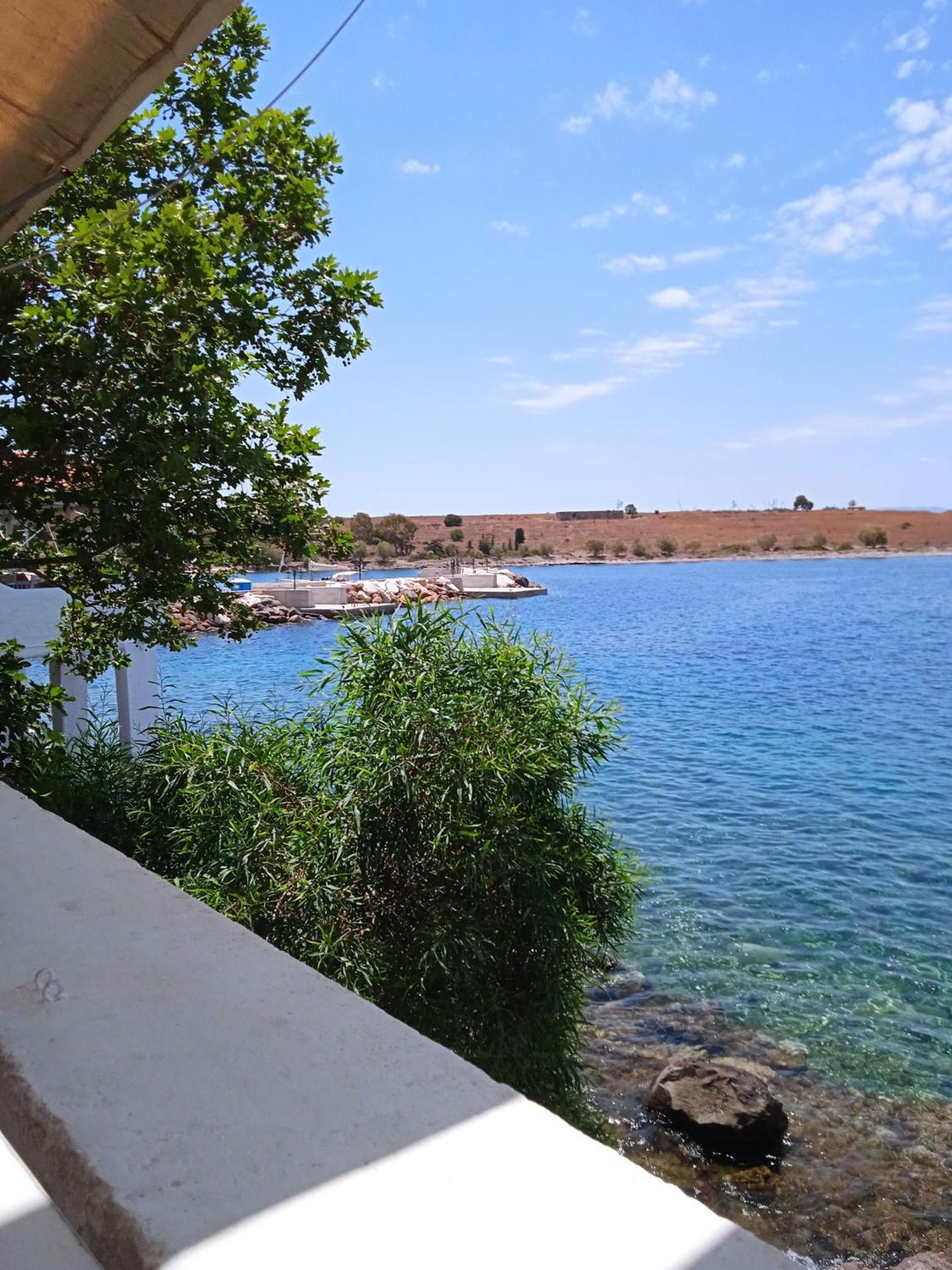 Calma * Perdika (Aegina)