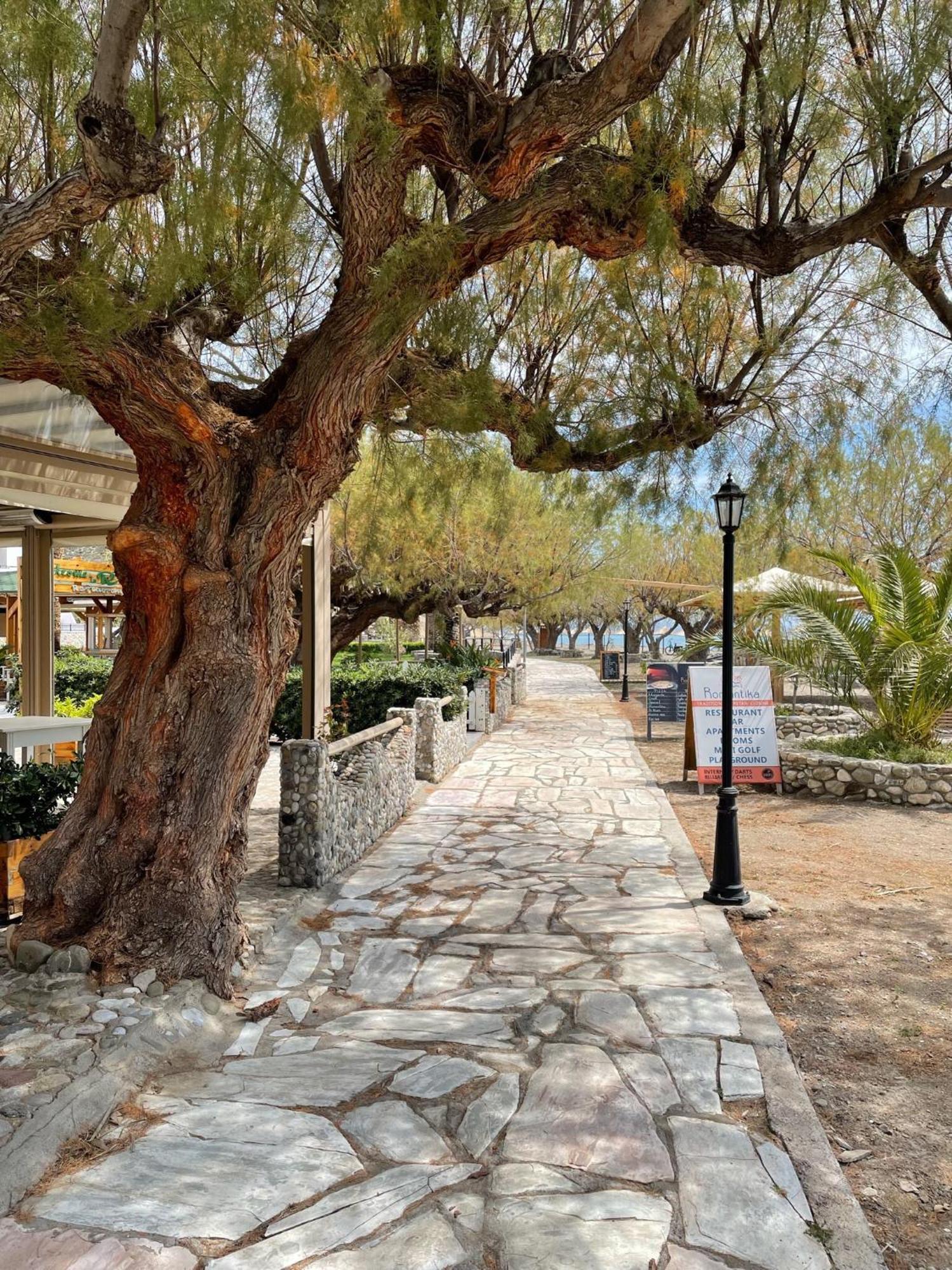 Holiday home An Oliven Agia Galini (Crete)