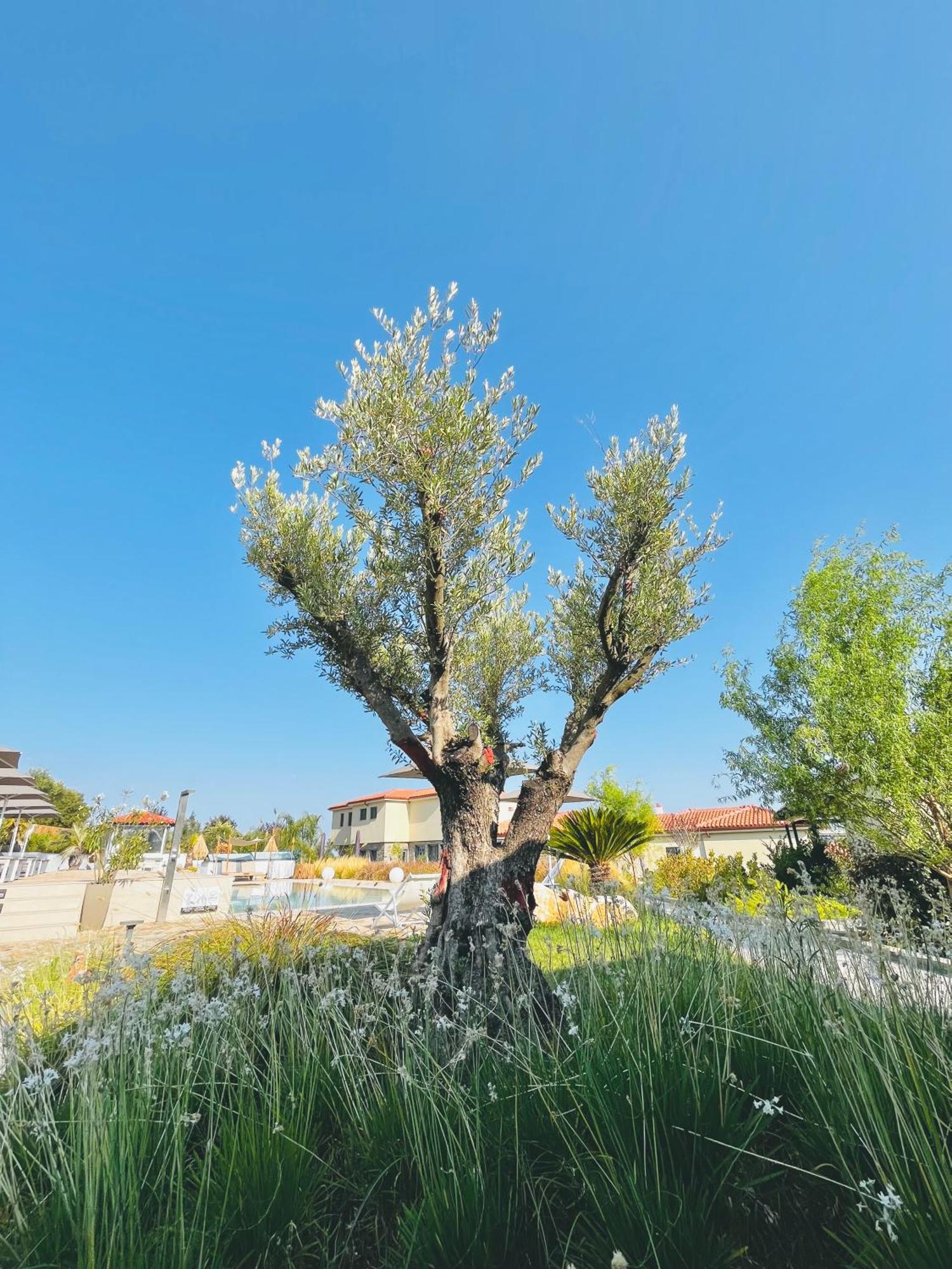 Ioniso Boutique Hotel 3*