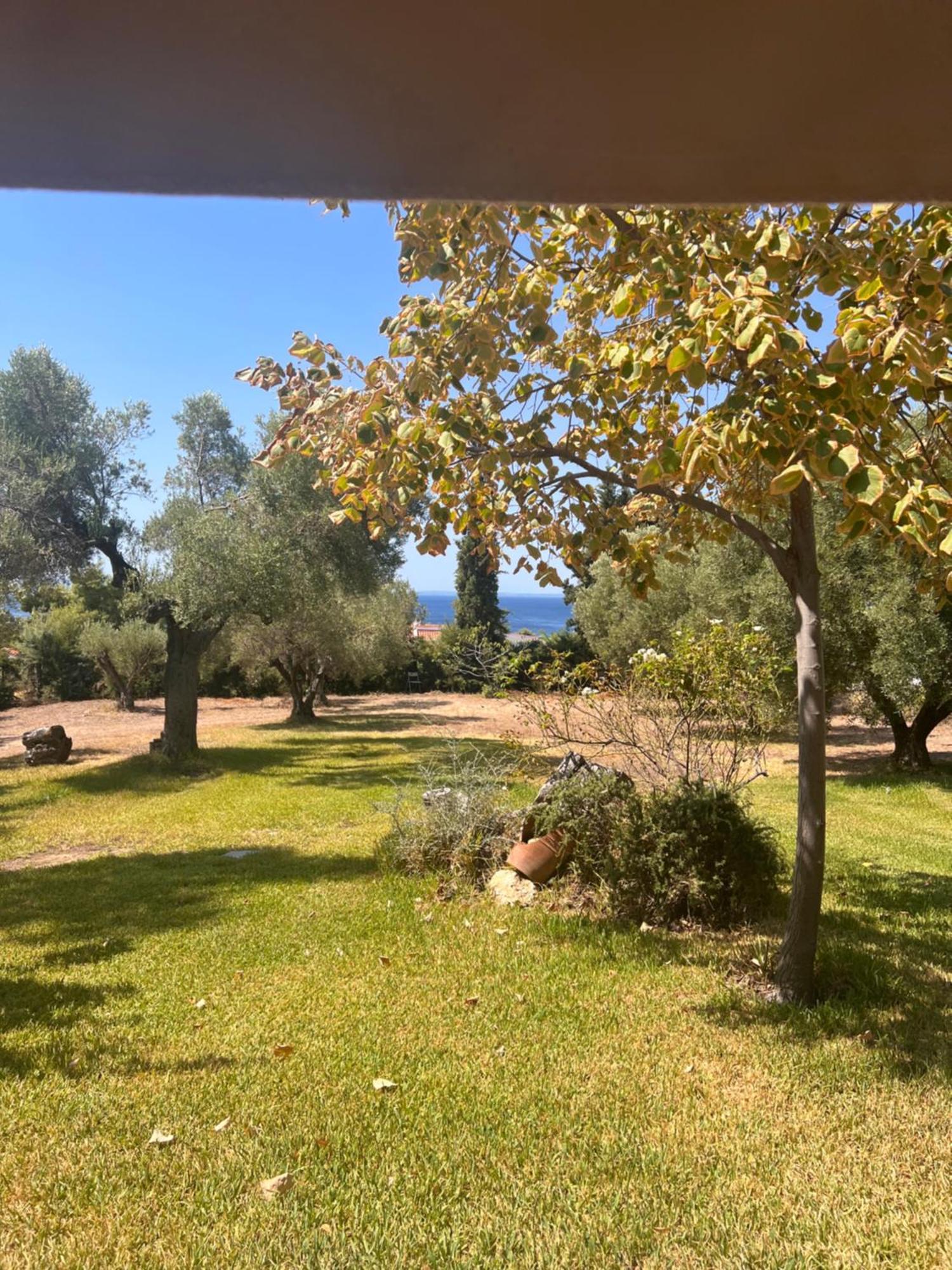 Villa Country