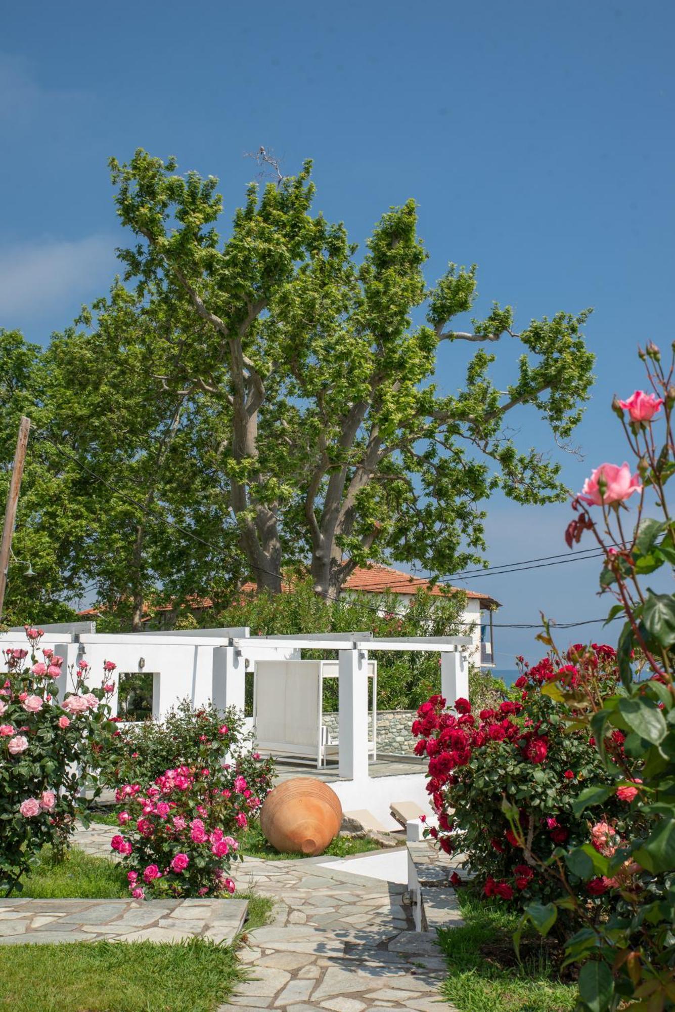 Aeolos & - Pelion Aparthotel 3*