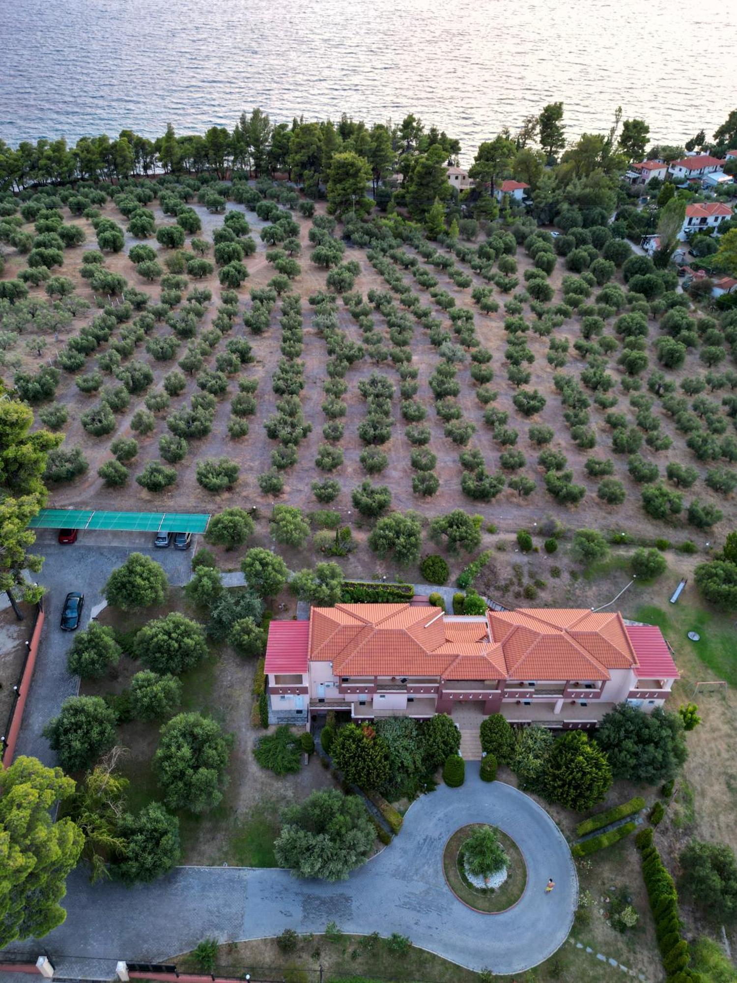 Agrili Apartments & Rooms 3* Elia Nikitis