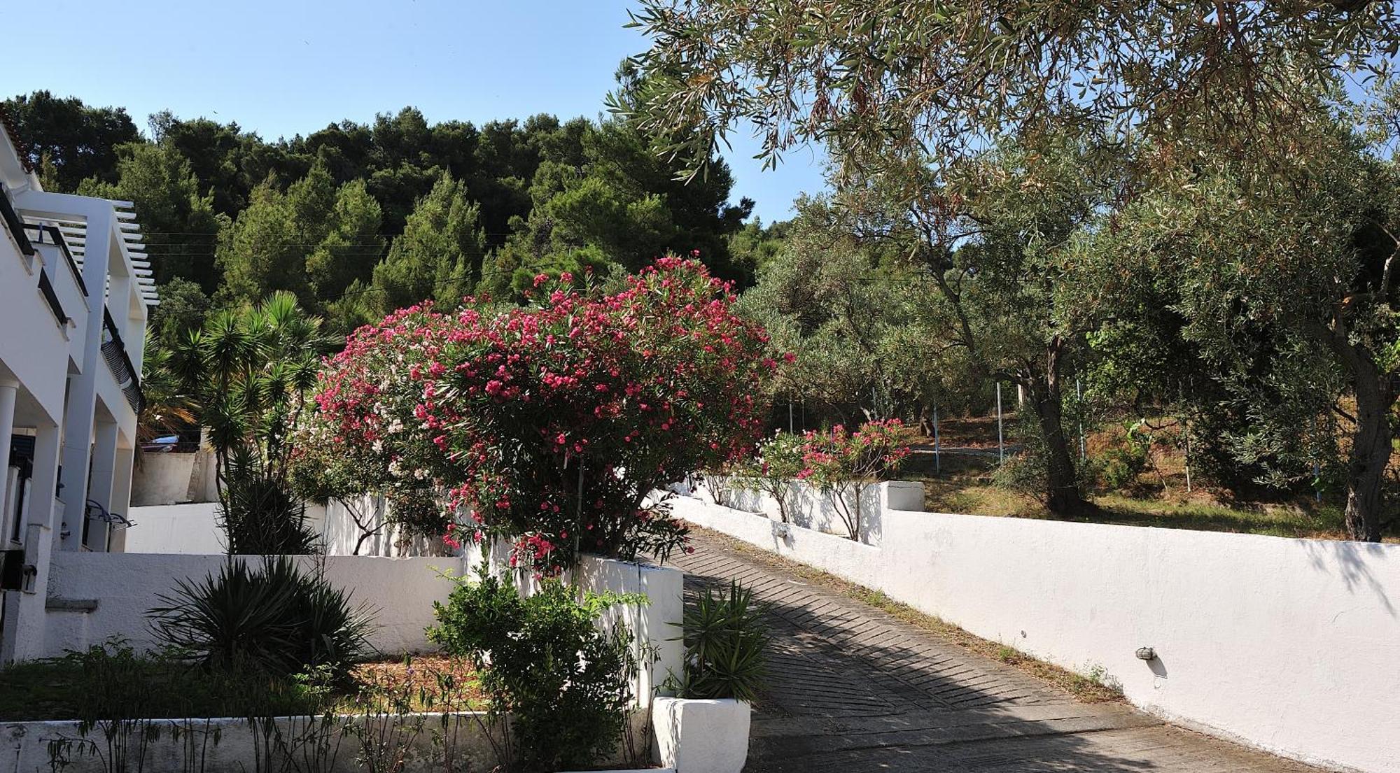Hotel Anamar Skiathos 3*