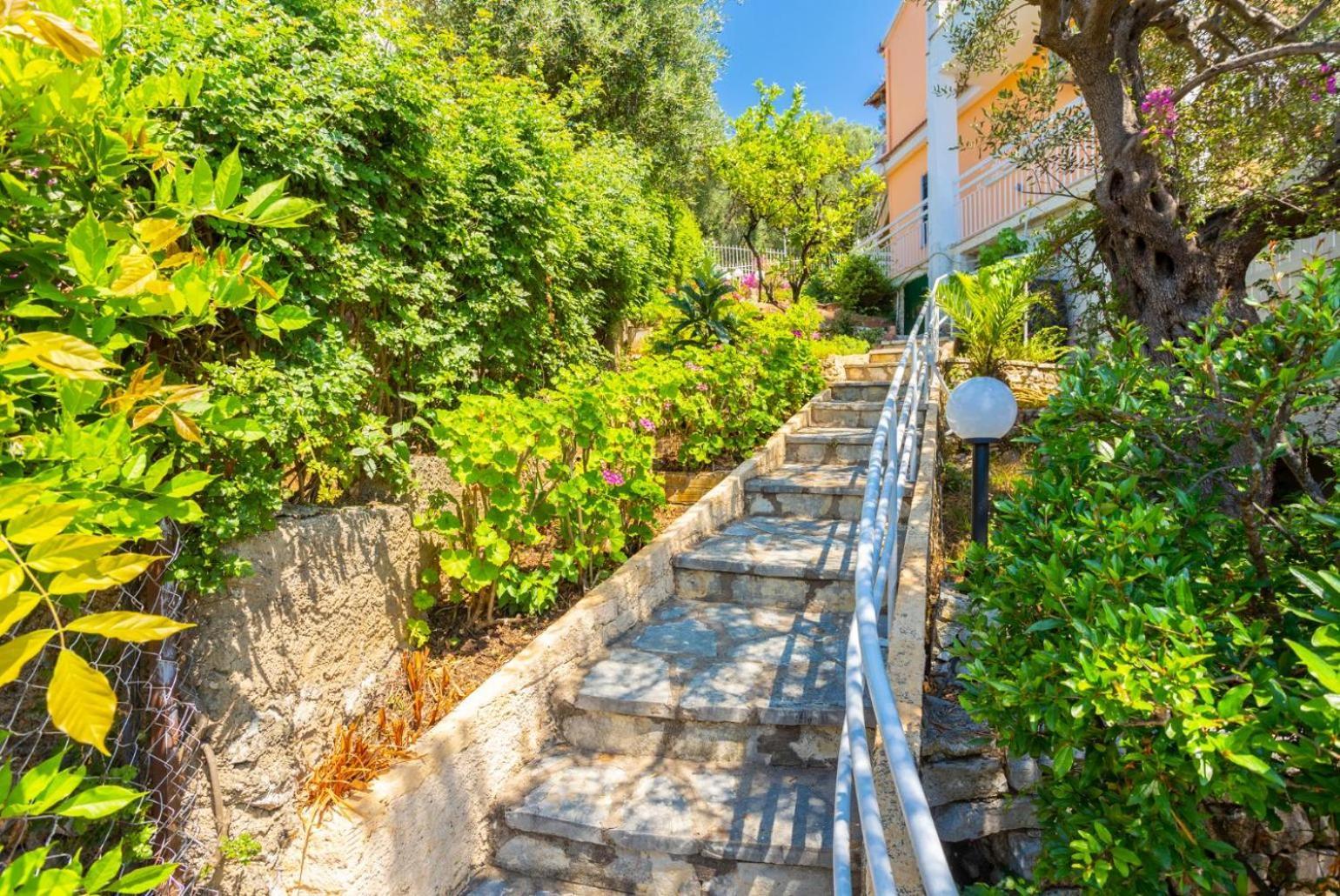 Elia Nisaki (Corfu)