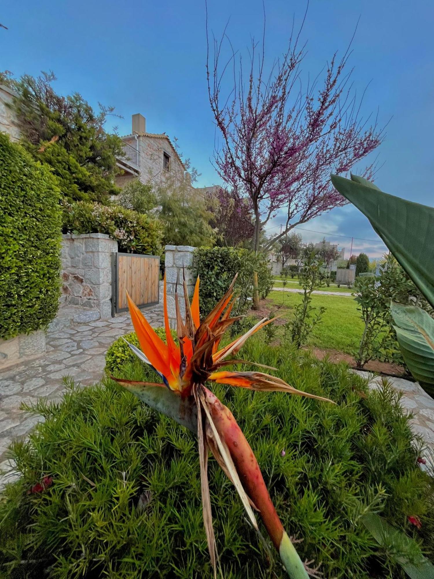 Achelatis Traditional Areopoli
