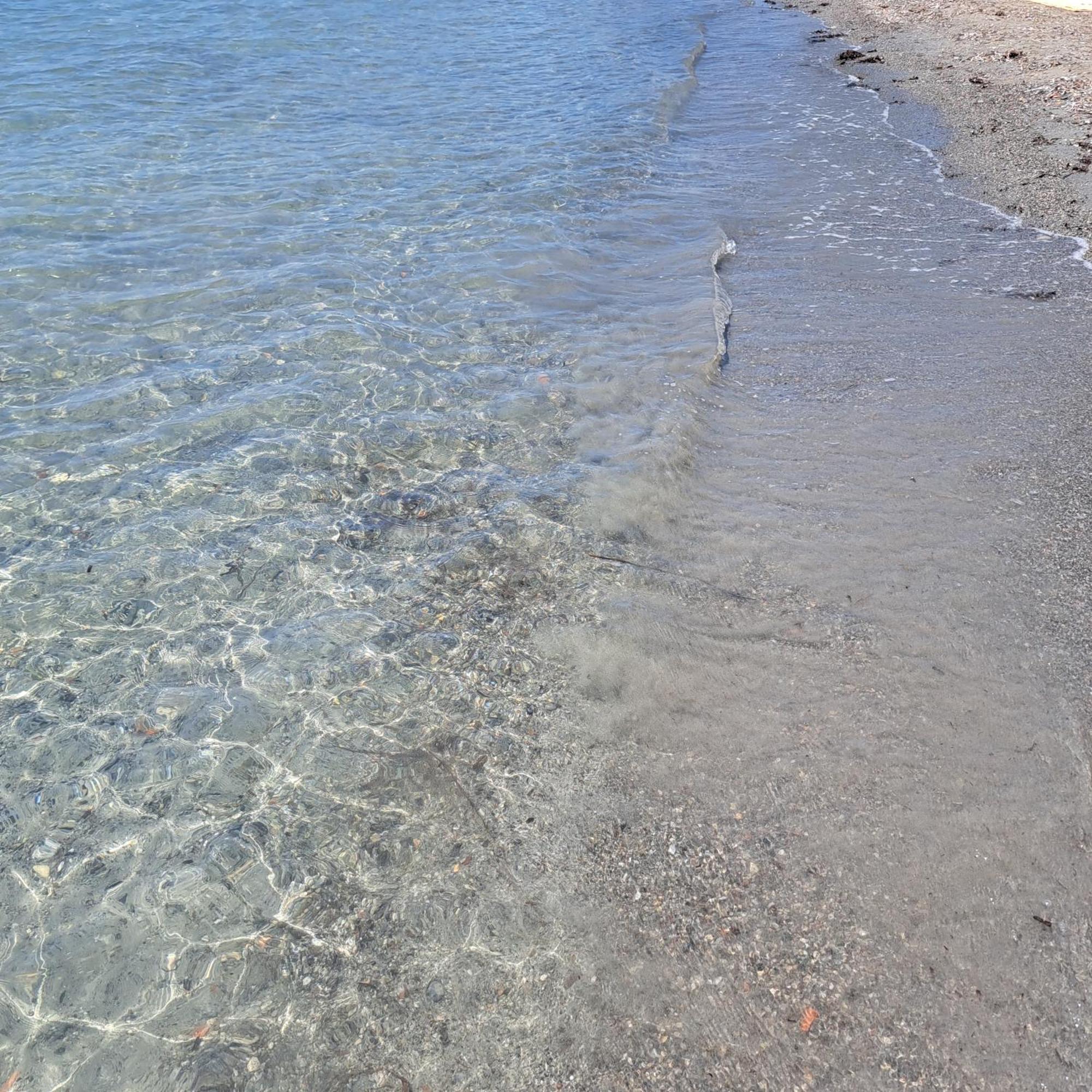 Vasiliki *