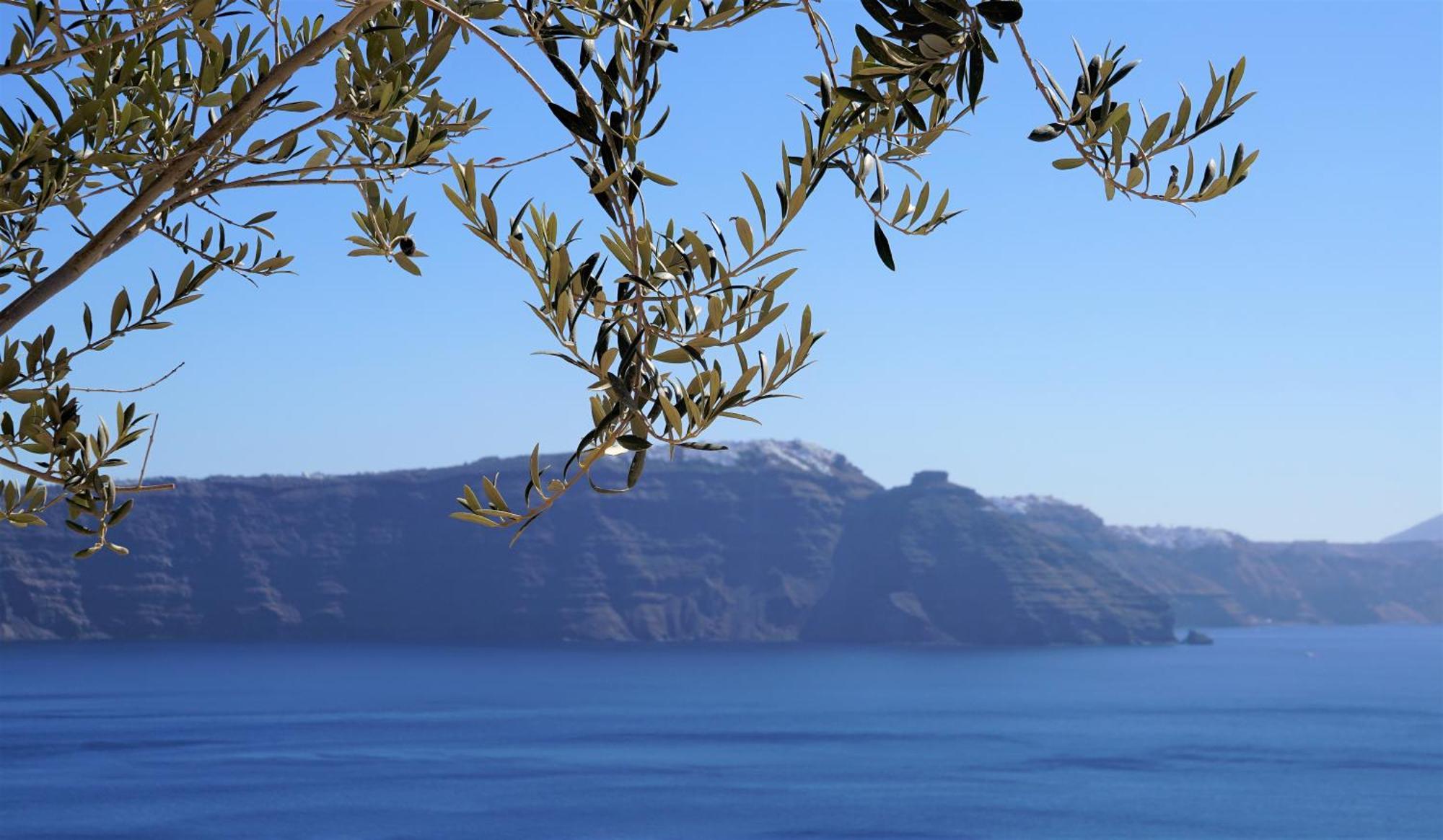 Oasis With Caldera View *