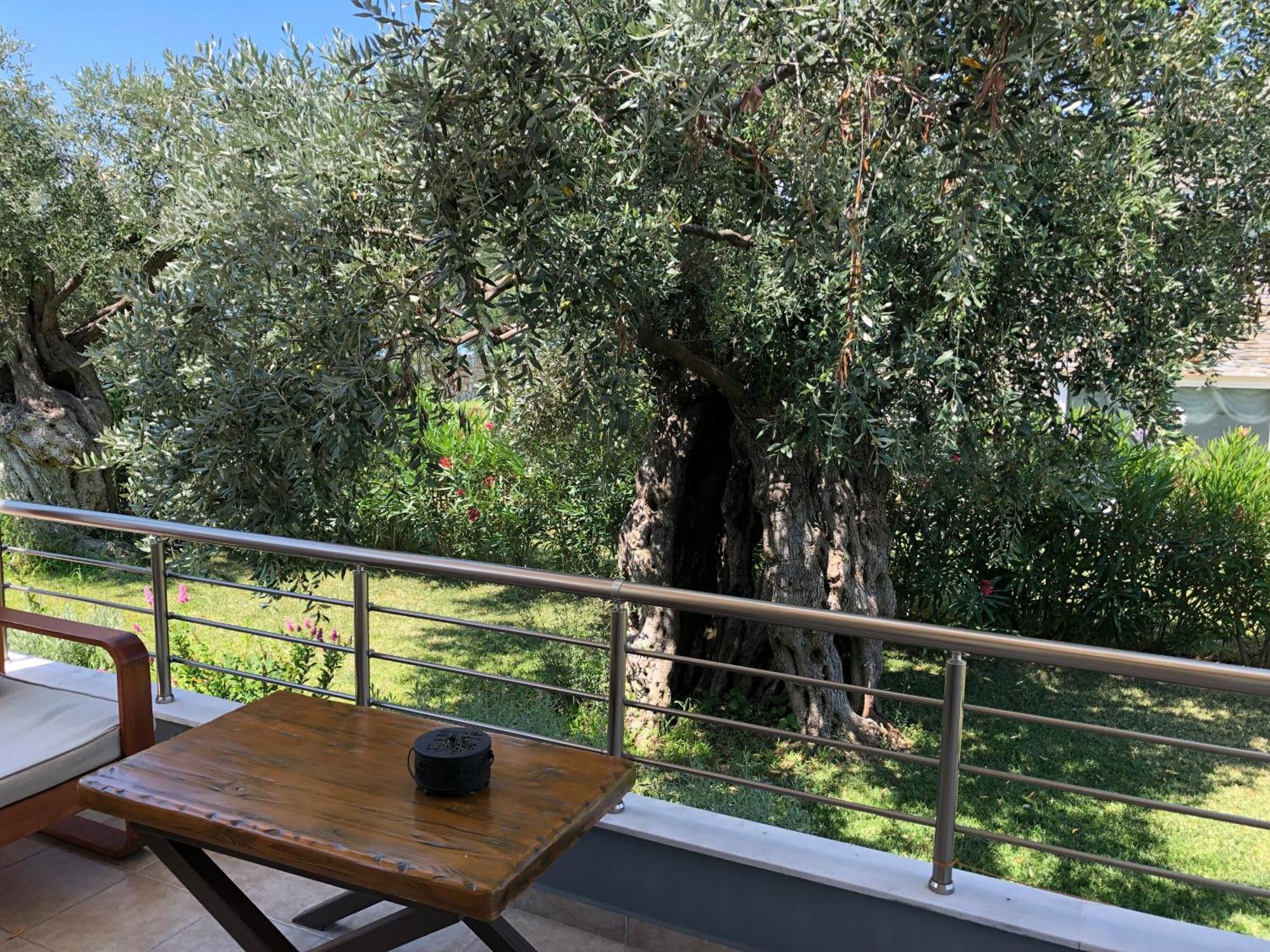 Arhondula Villa Prinos (Thasos)