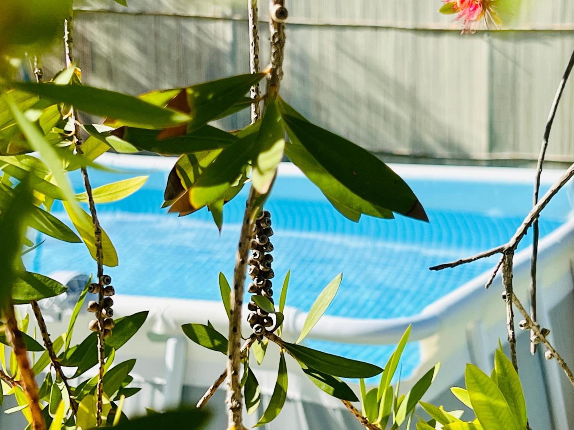 Guest house Gazonia Family Estate Skala (Kefalonia)