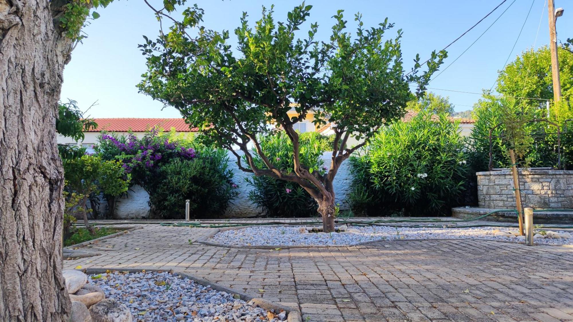 Villa Mediterranean House With Beautiful Garden *