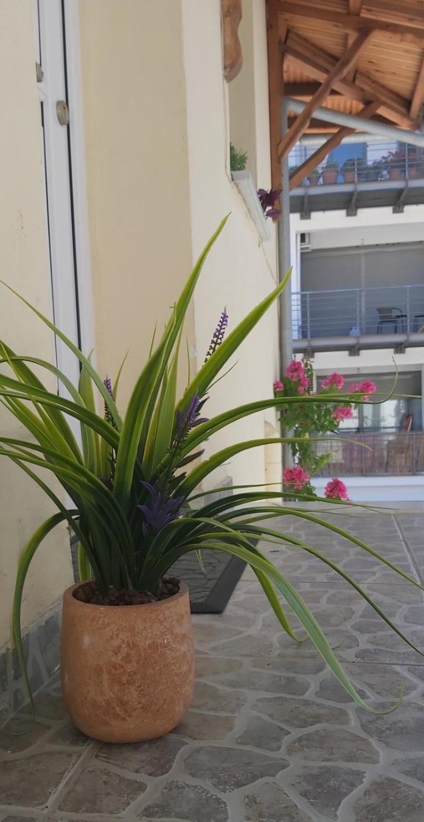 Comfy Near The Port And The Center Of Apartment Volos