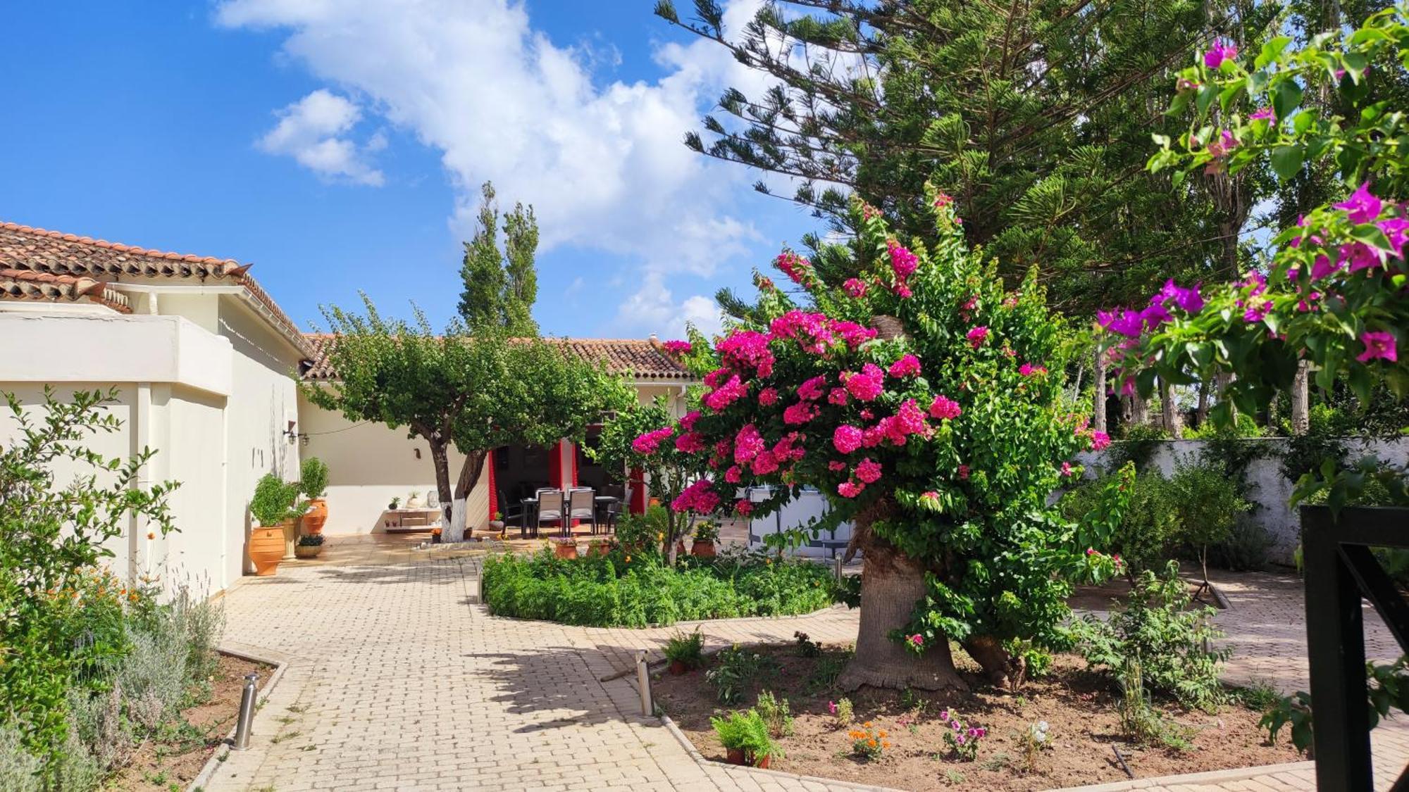 Mediterranean House With Beautiful Garden Karlovassi