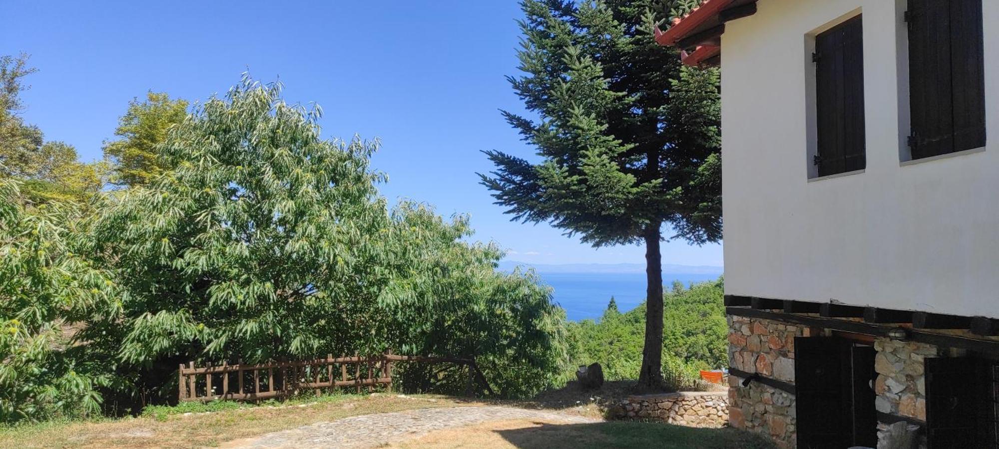 Kastania Gi