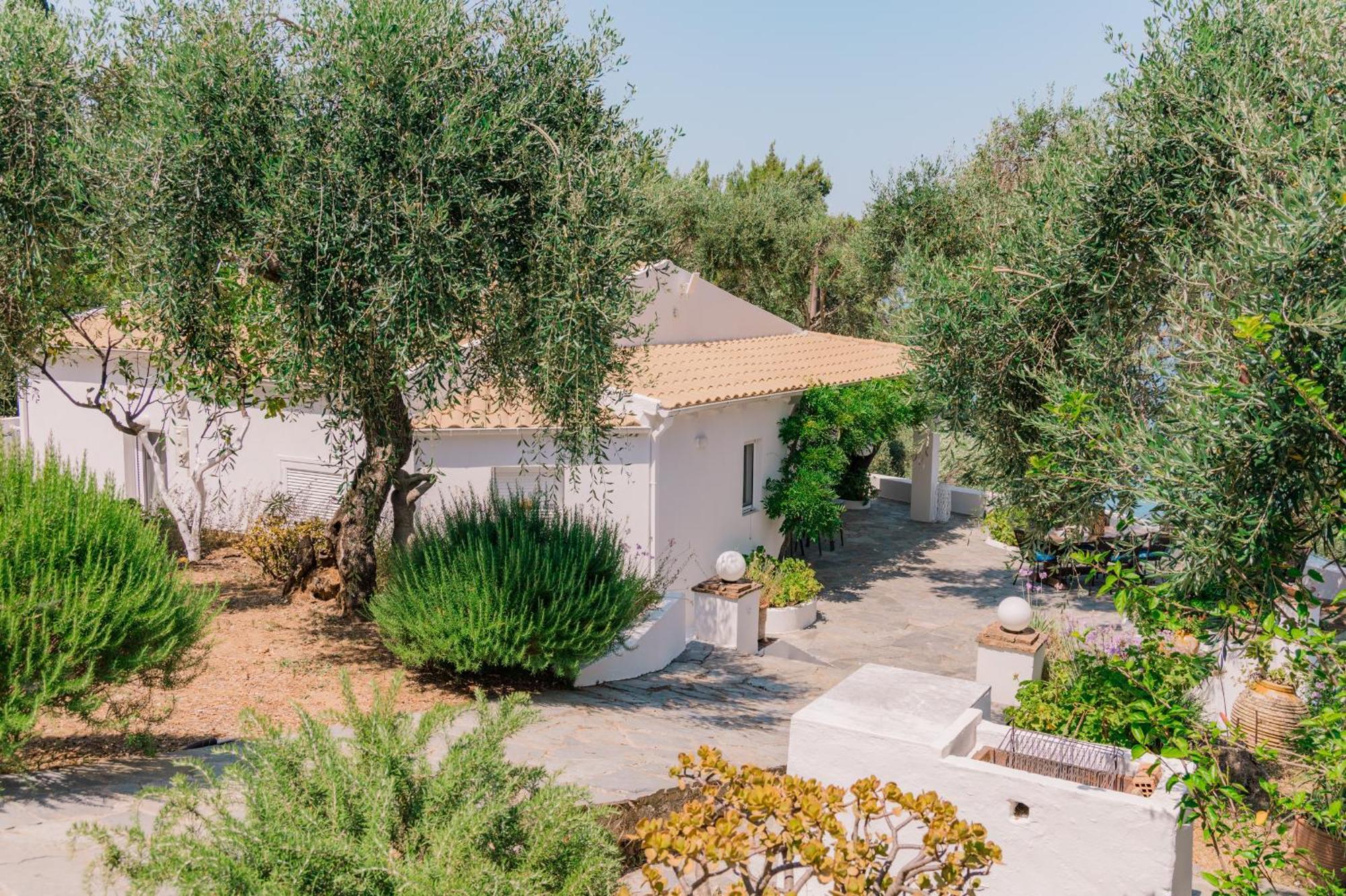 Holiday home Zoela Corfu - 2 Seperate With Full Privacy