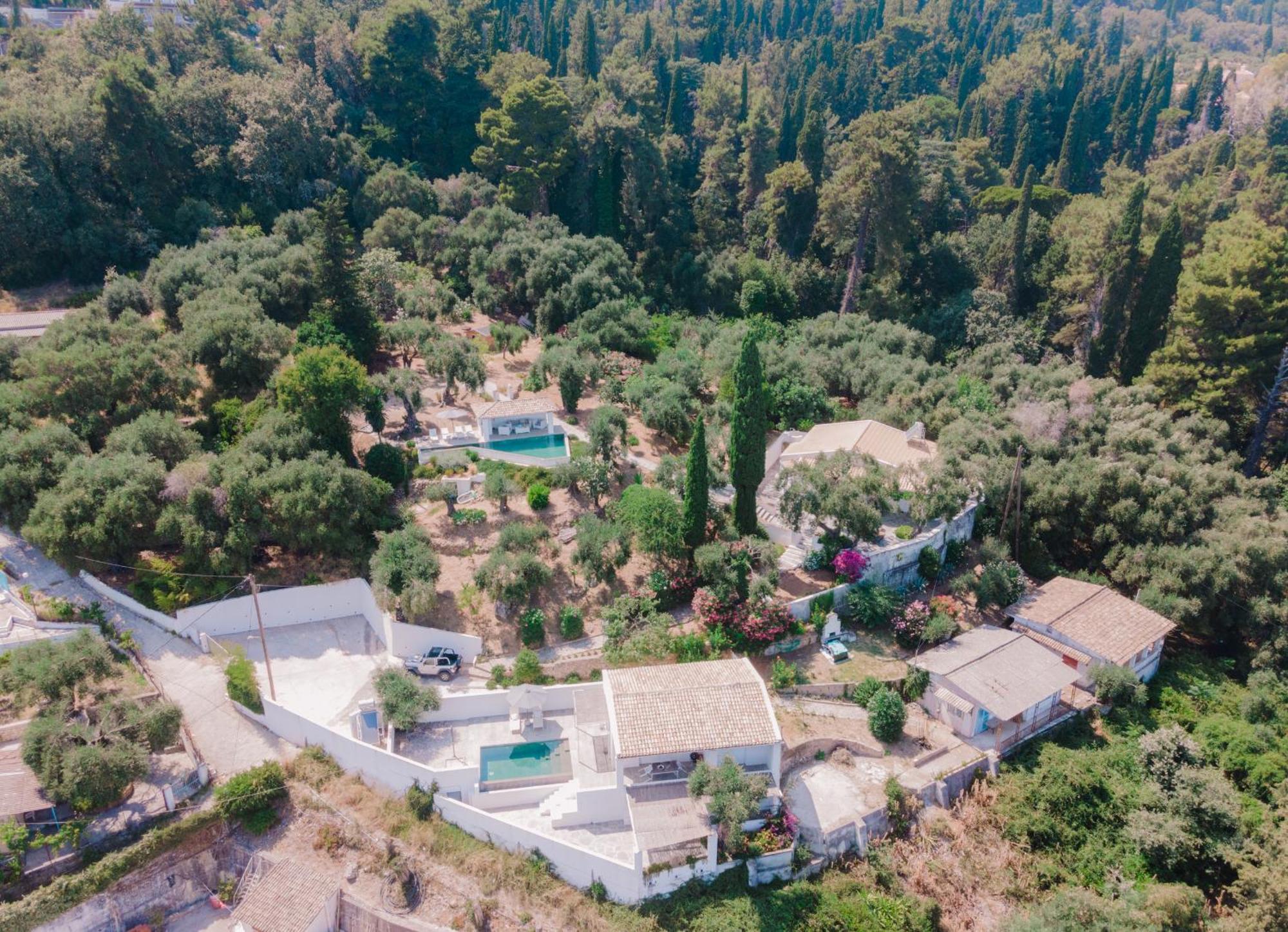 Zoela Corfu - 2 Seperate With Full Privacy Holiday home Gastouri (Corfu)