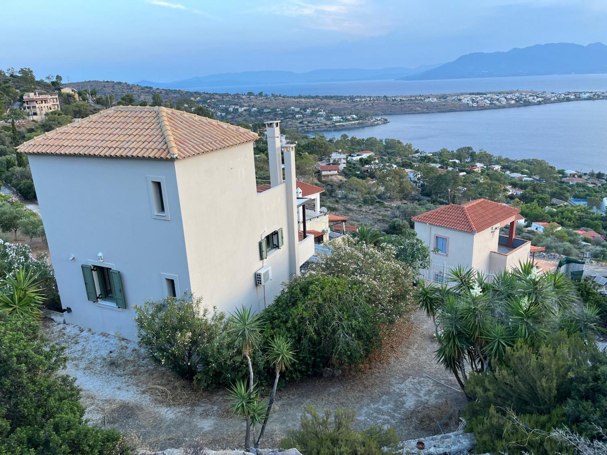 Chrysiis View *