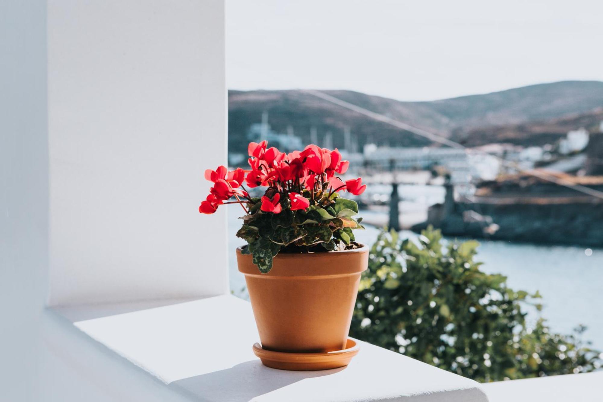 Apartment Fos Loutra (Kythnos)