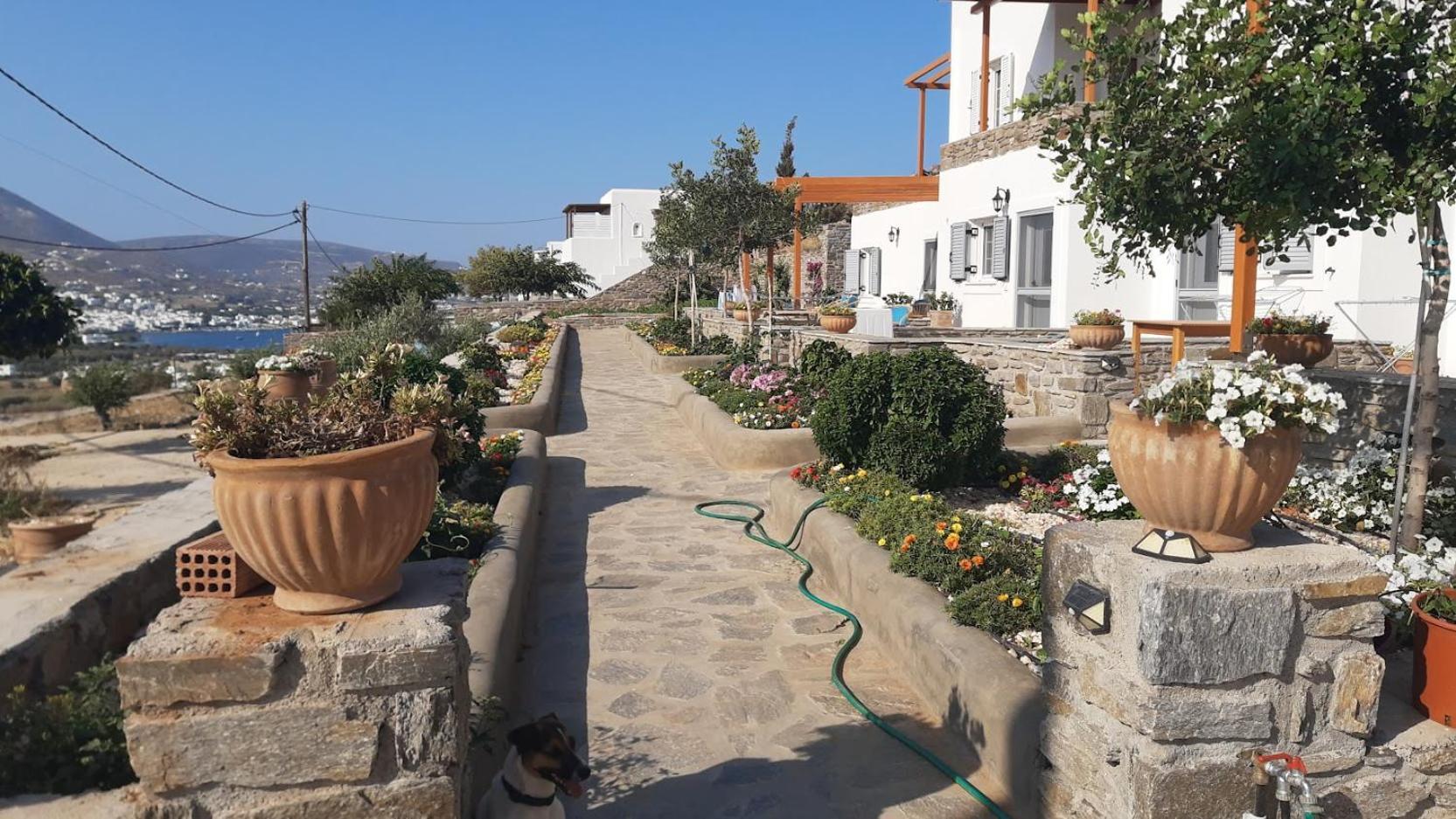 Georgia's Quality * Parikia (Paros)