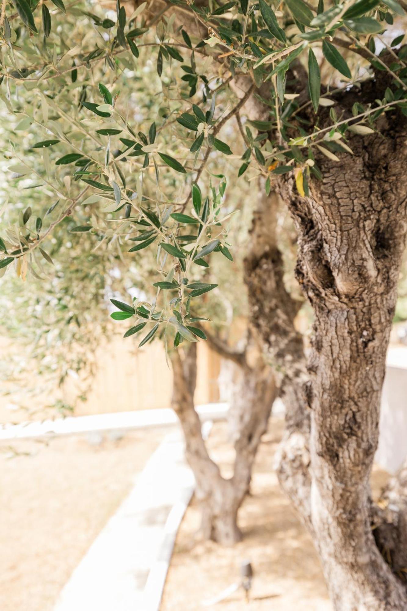 Topos Apartment Lassi (Kefalonia)