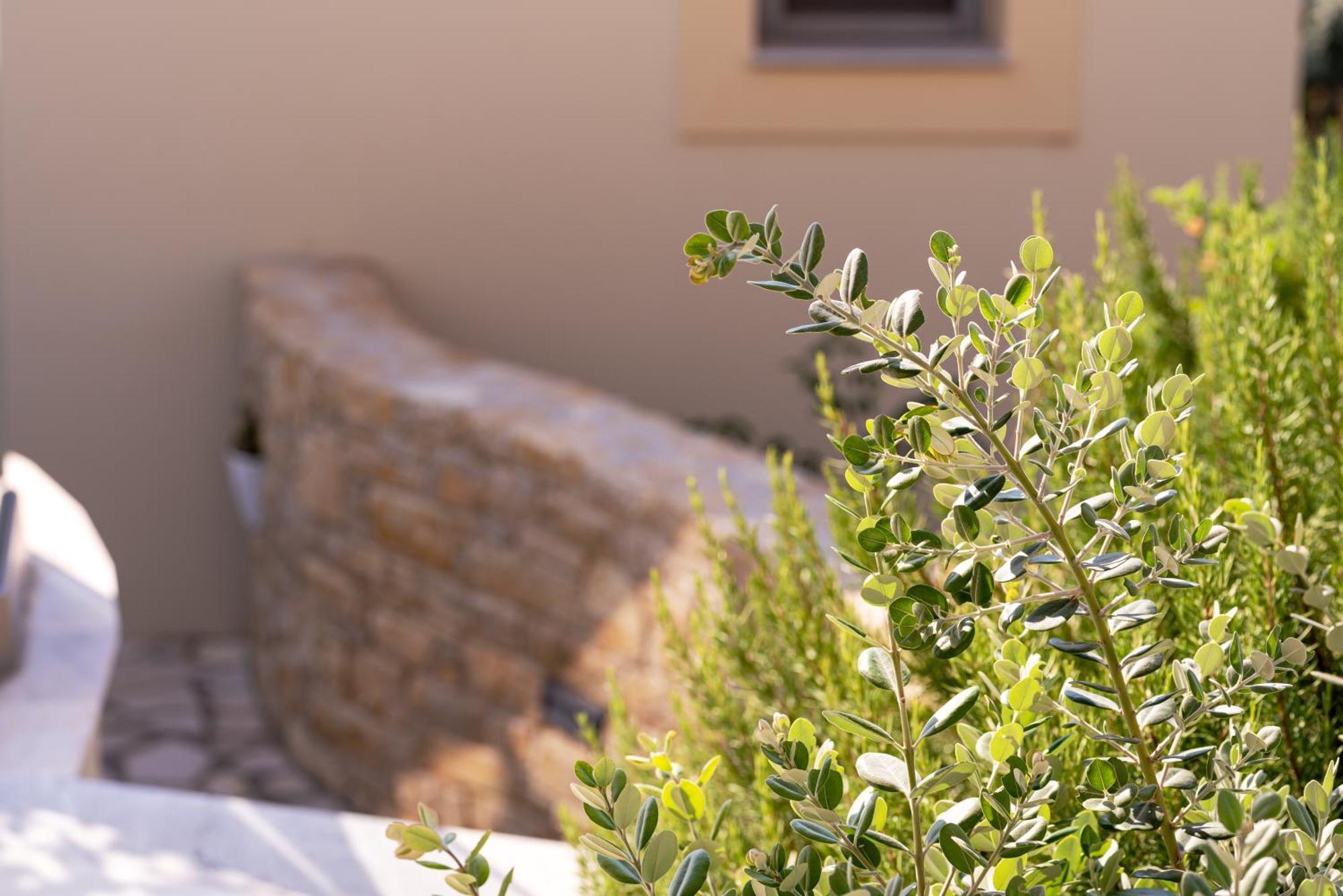 Apartment Studios Limnionas