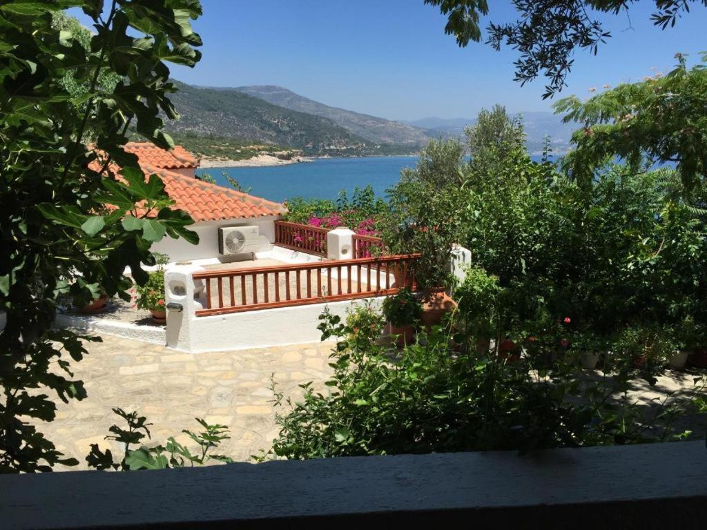 Studios Limnionas