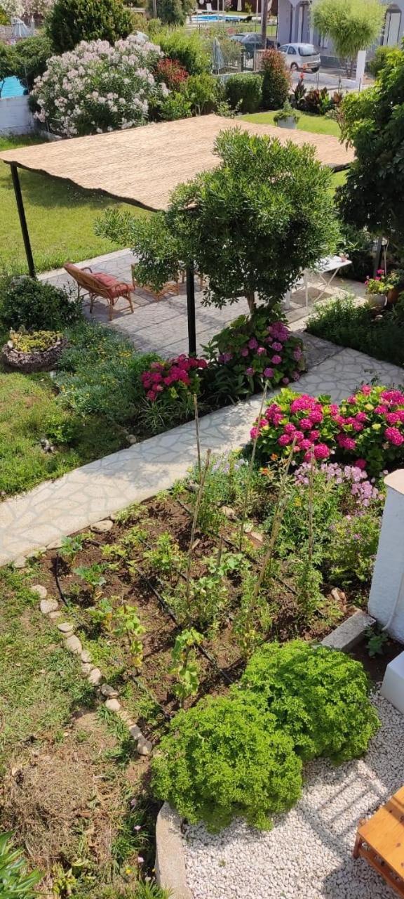 Alcyon Days Apartment Agios Georgios (Corfu)