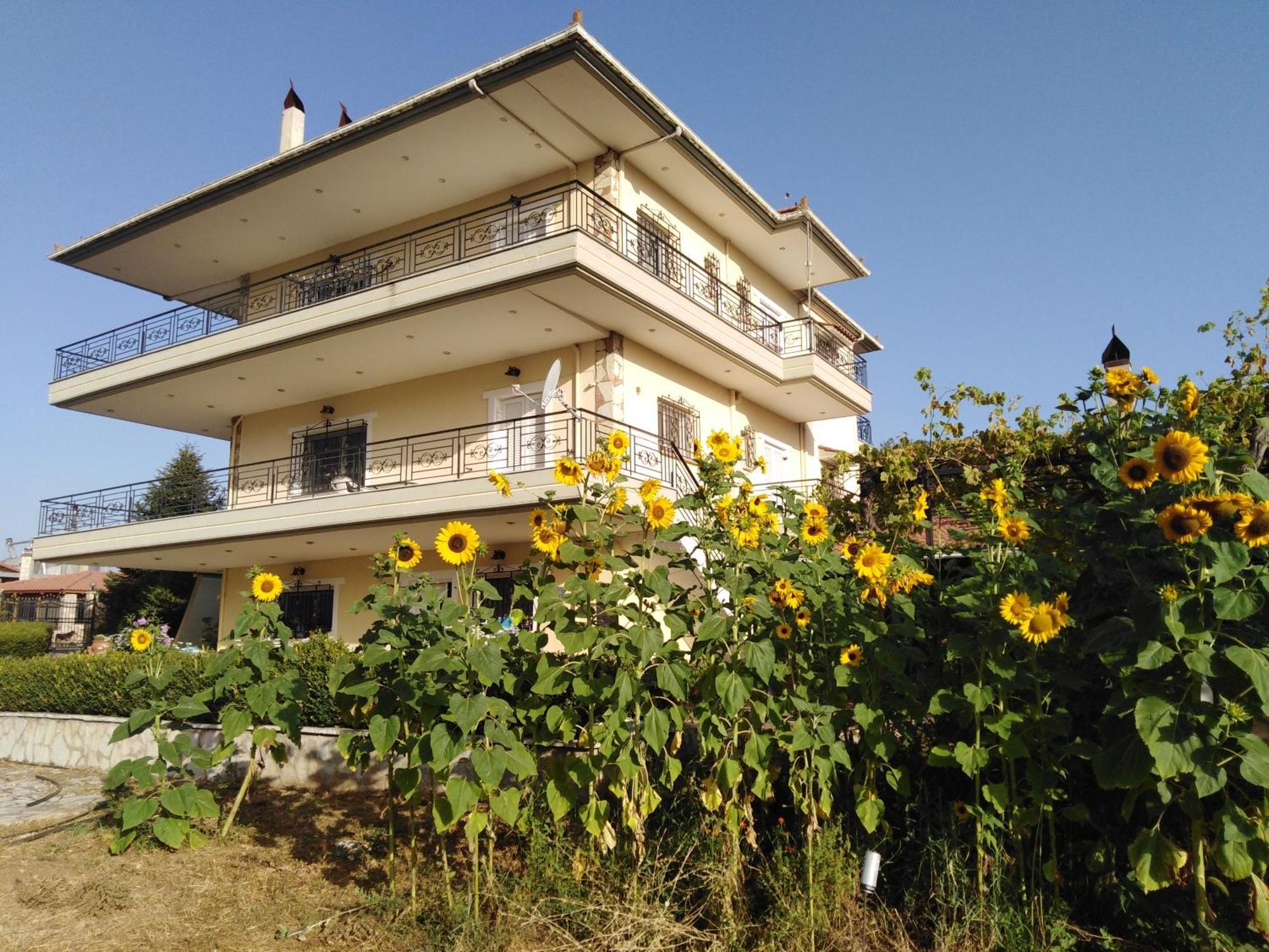 Guest house Valia