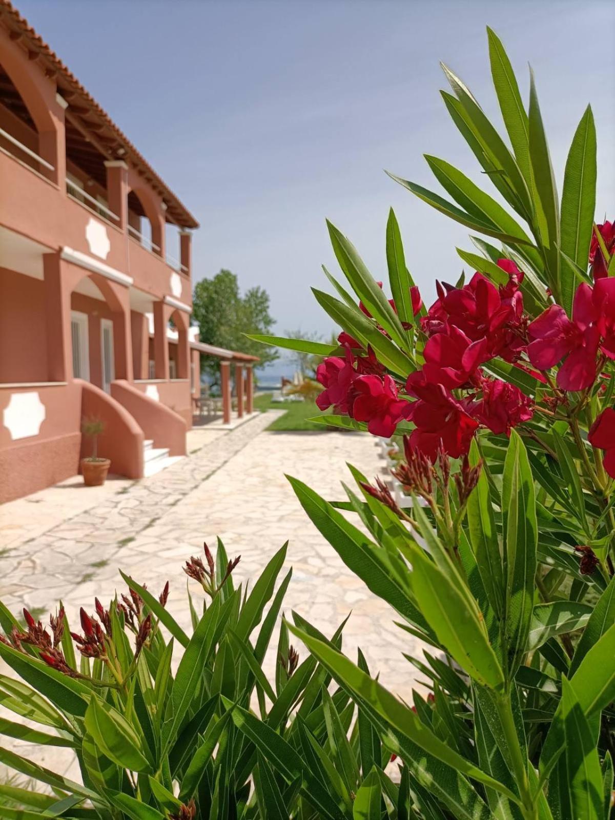 Melador Beachfront Apartment Kavos