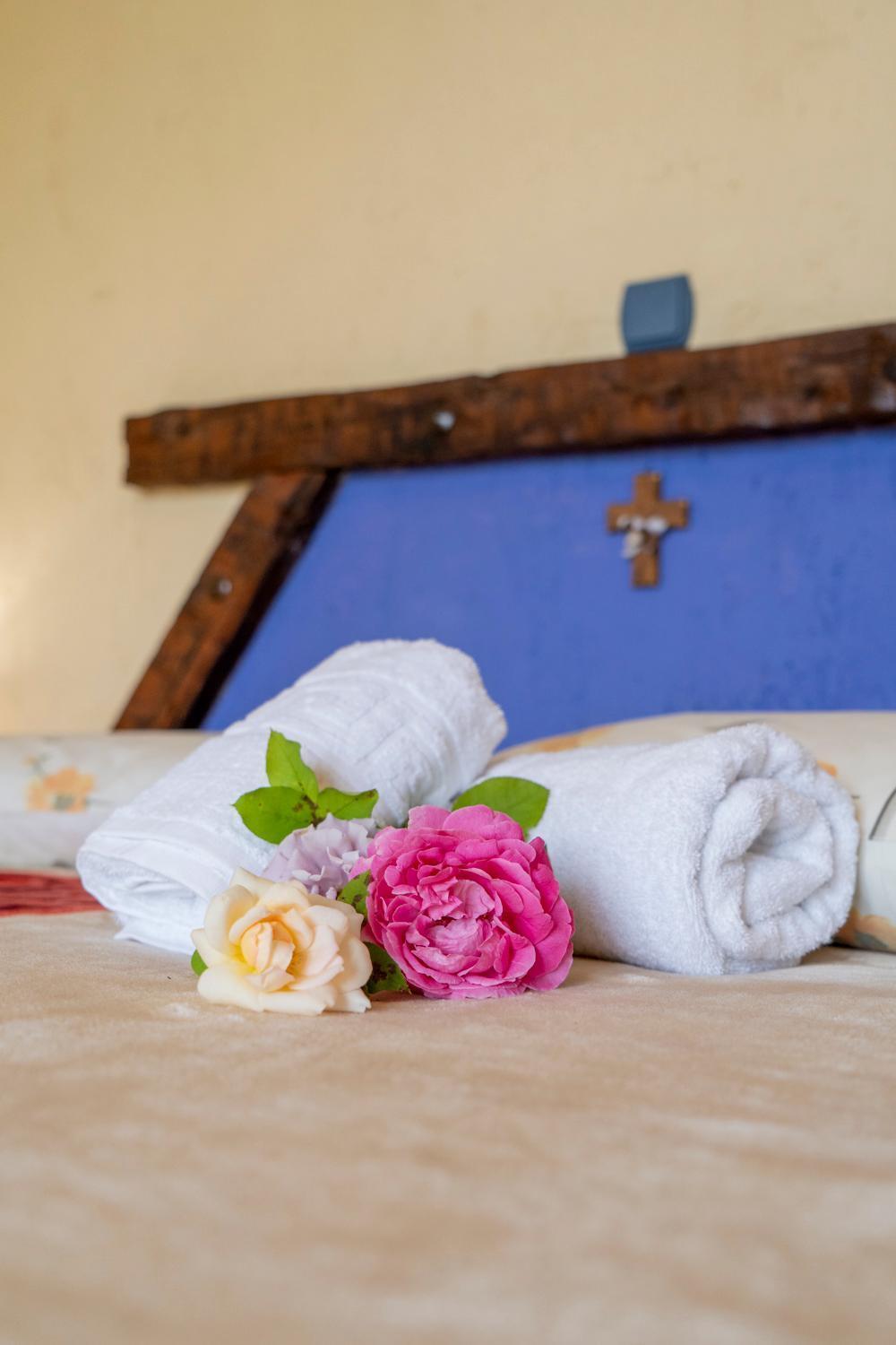 Vasiliki Holiday home