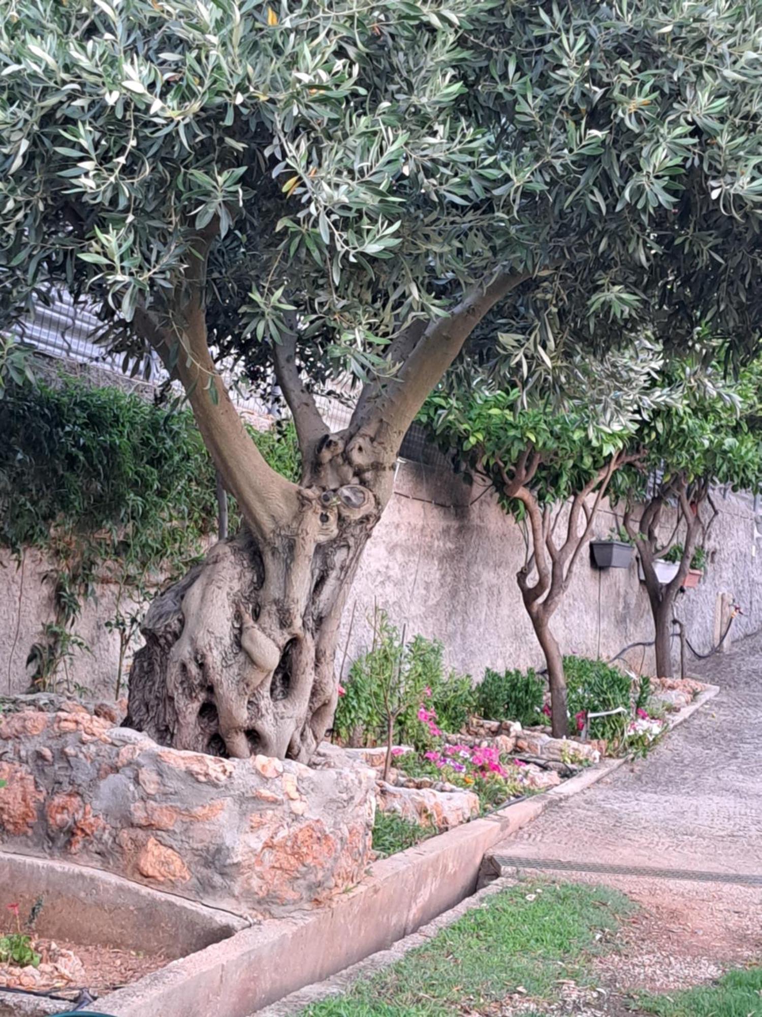 Holiday home Garden House-free Transfer From Airport