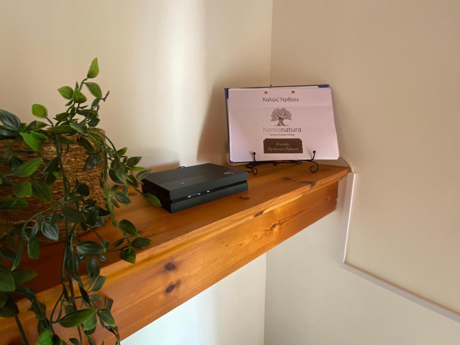 Homonatura. Sense Of Native Living. Apartment